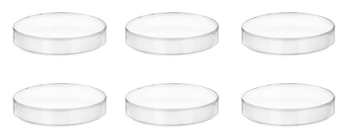 Translucent Polypropylene Petri Dish with Lid, 6-Pack