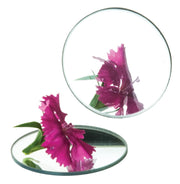 Concave Glass Mirror, 100mm Diameter, 100mm Focal Length