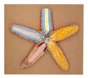 Hand-Painted 3D Starfish Sectional Anatomical Model on Base, 18 x 16 inch