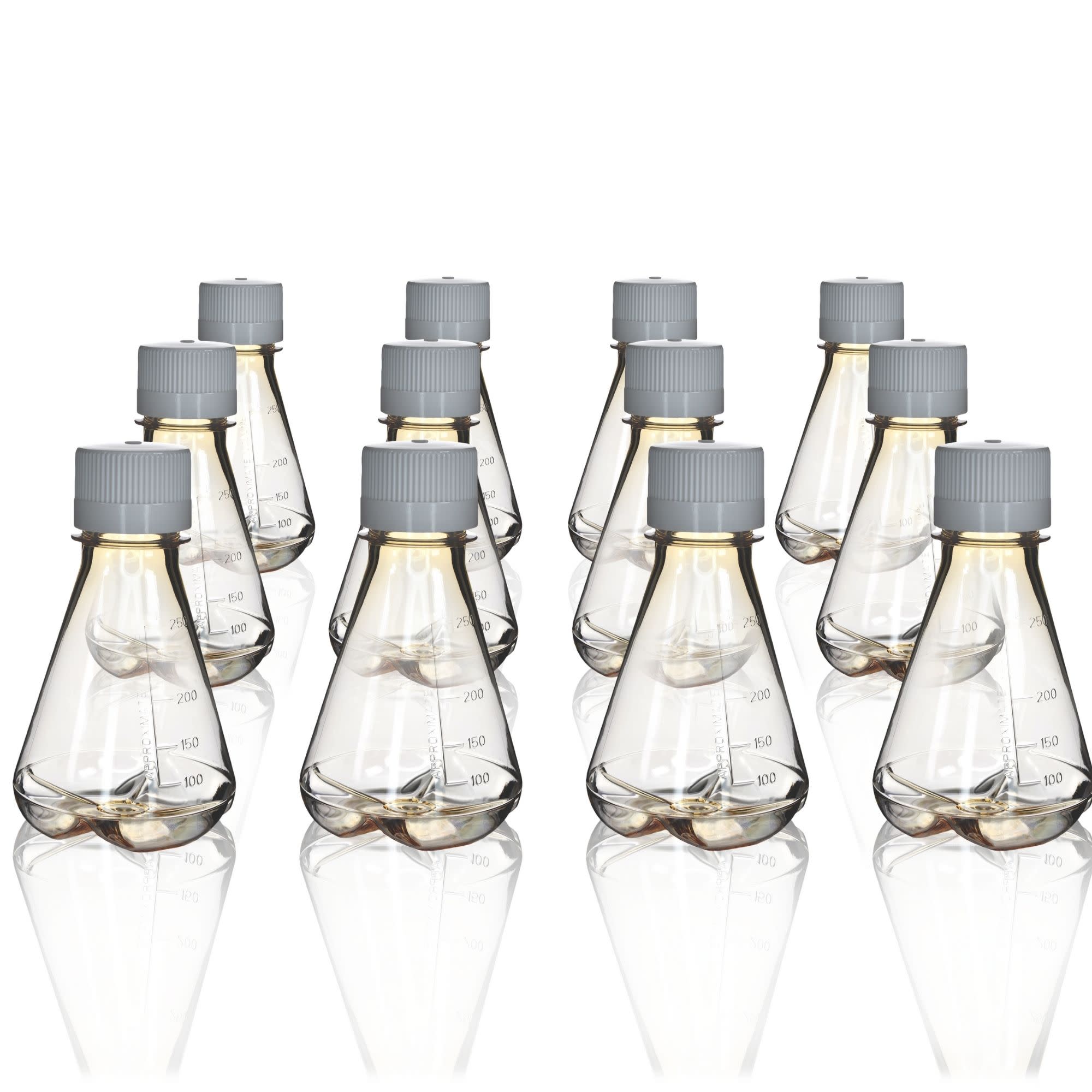 Sterile Polycarbonate Erlenmeyer Flask with Baffled Bottom, 12-Pack