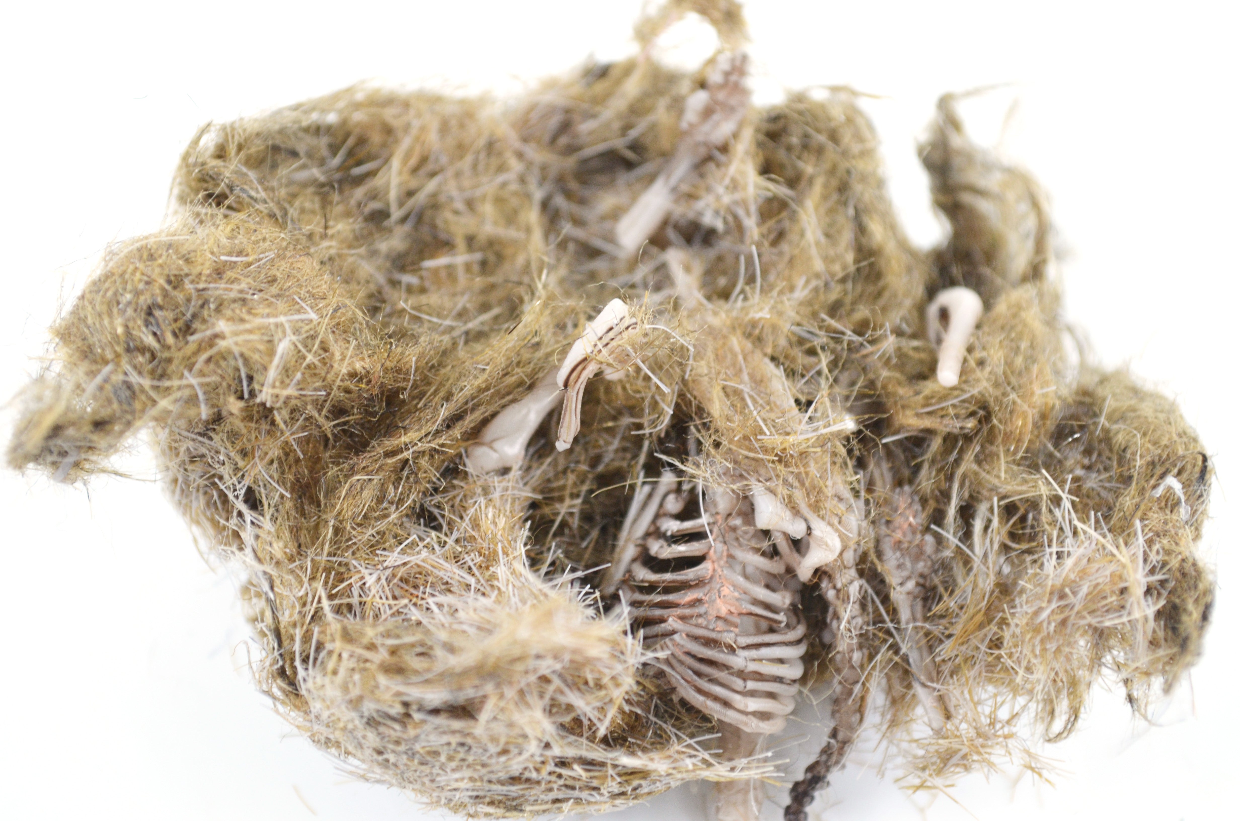 Simulated Owl Pellet with Vole, 3 x 1.25 inch