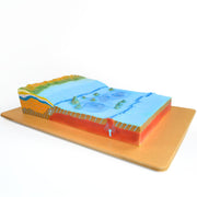 Sea Floor Wall-Mounted Teaching Model