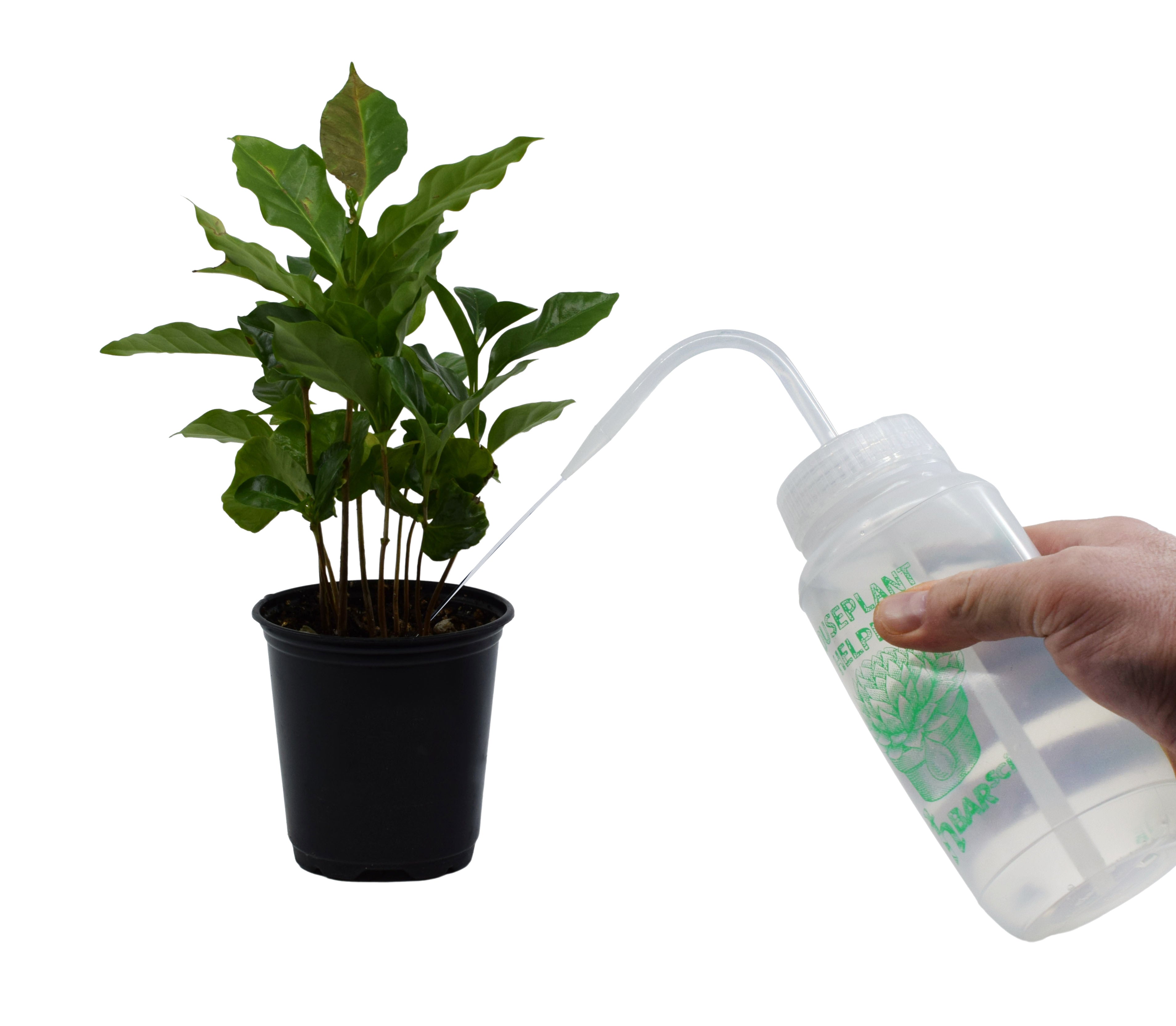 2PK Houseplant Helper Plant Water Bottle, 16oz - Weekly Irrigation Scale Printed on Side - Plant Watering Devices, Succulent Watering Bottle, Indoor House Plant Waterer, Seed Tray Watering Can