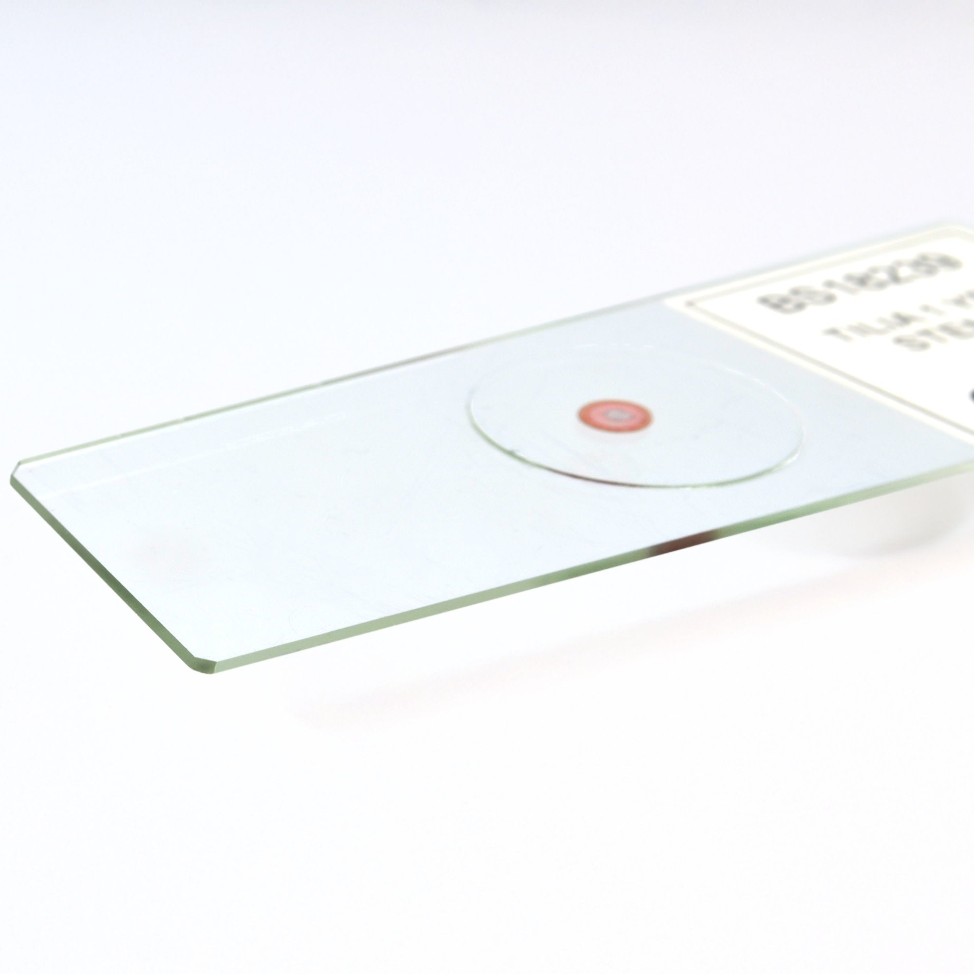 Tilia Stem Cross-Section, 1-Year Dicot Prepared Microscope Slide