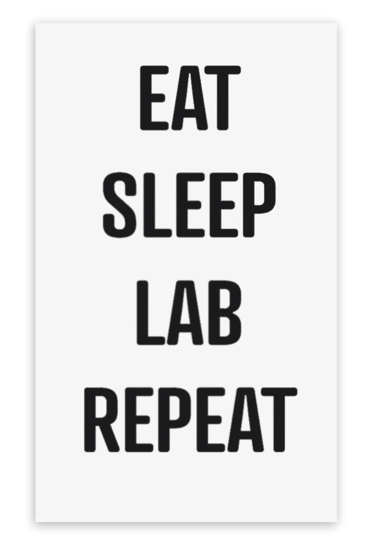 Eat Sleep Lab Repeat Rectangular Premium Vinyl Sticker, 3 x 2 inch