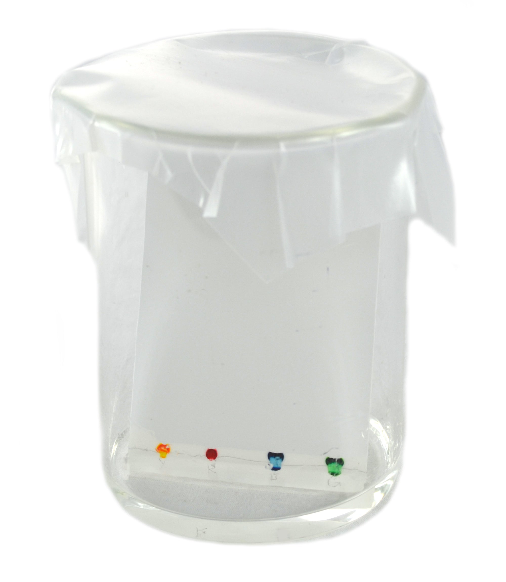 Thin Layer Chromatography Kit for 15 Student Groups
