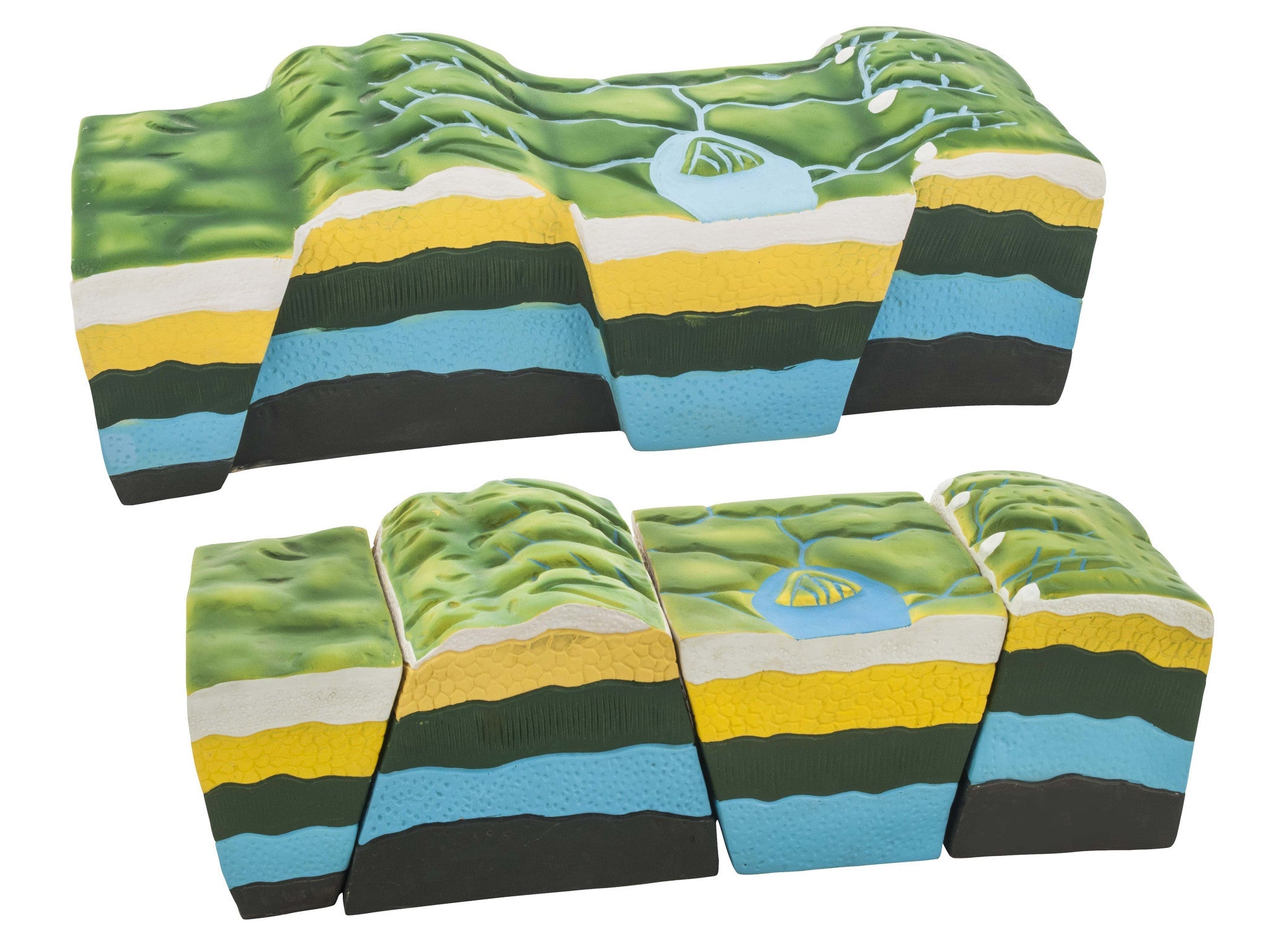 Fold and Fault Geology Teaching Model