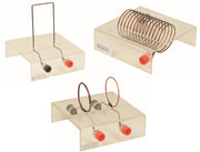 Standard Magnetic Field Demonstrator