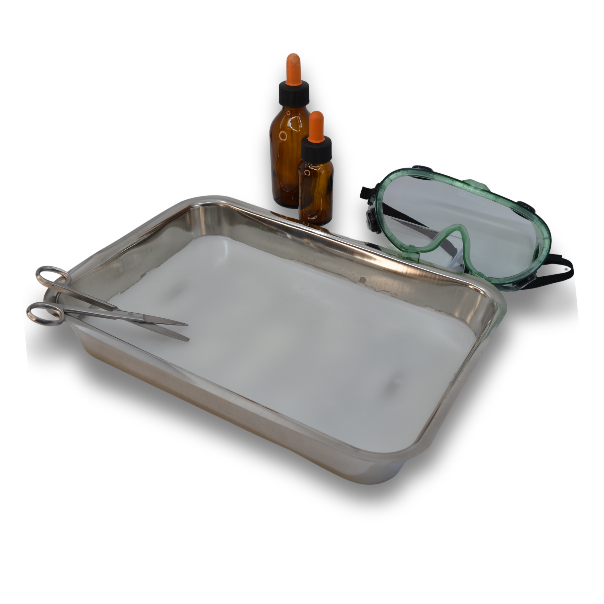 12 x 9 x 2" Stainless Steel Dissection Tray with Wax