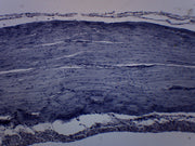 Frog Striated Skeletal Muscle Prepared Microscope Slide