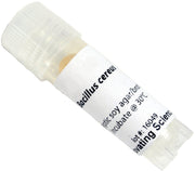 Bacillus Cereus Freeze-Dried Culture, Lyophilized Pellet in Vial