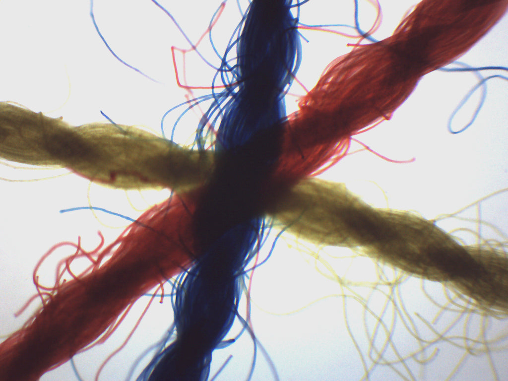 Crossed Colored Threads Wholemount Prepared Microscope Slide