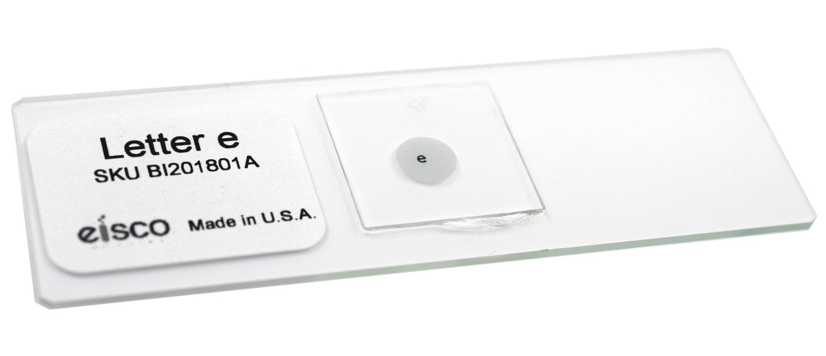 Compond Microscope Letter E Prepared Microscope Slide, Letter 'e' - 75x25mm - Intro Microscopy ...