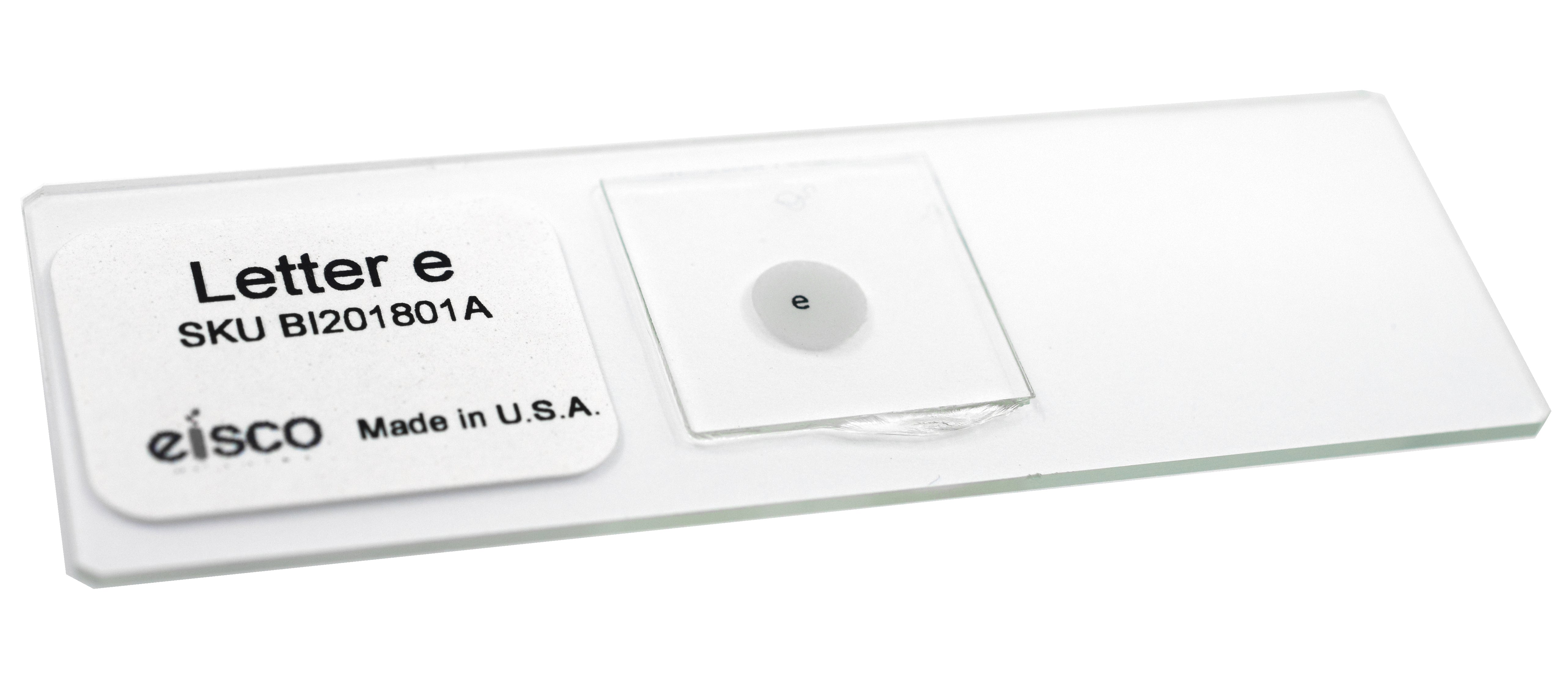 Letter 'e' Prepared Microscope Slide for Introductory Microscopy
