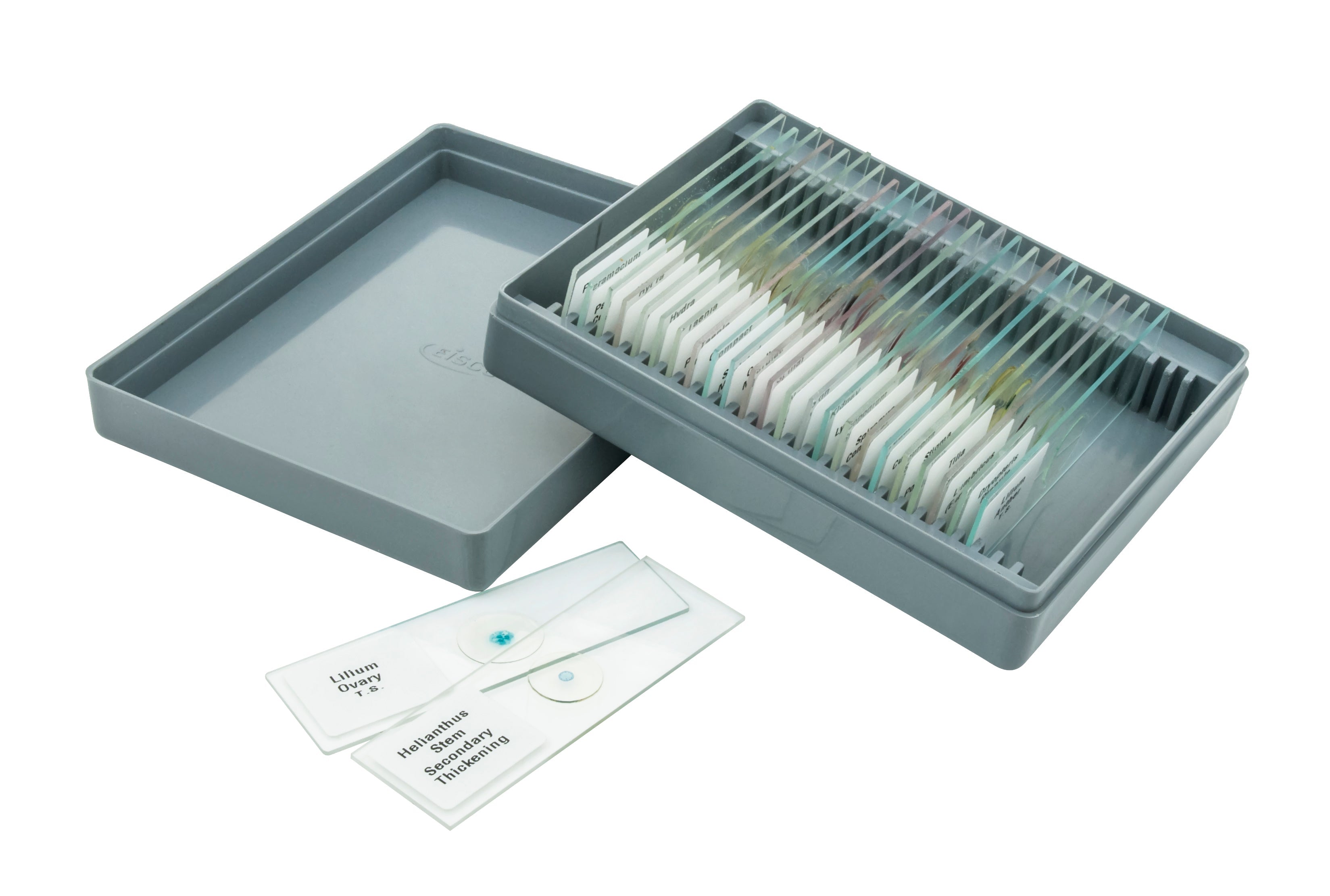 Biology Microscope Slide Set, 25-Piece