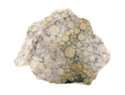 Conglomerate Specimen