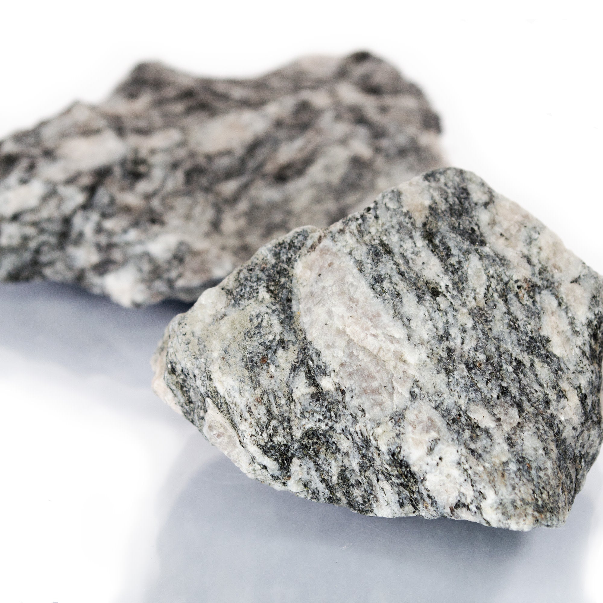 Raw Coarse-Grained Foliated Biotite Gneiss Metamorphic Rock Hand Sample, Approx 2.75 inch