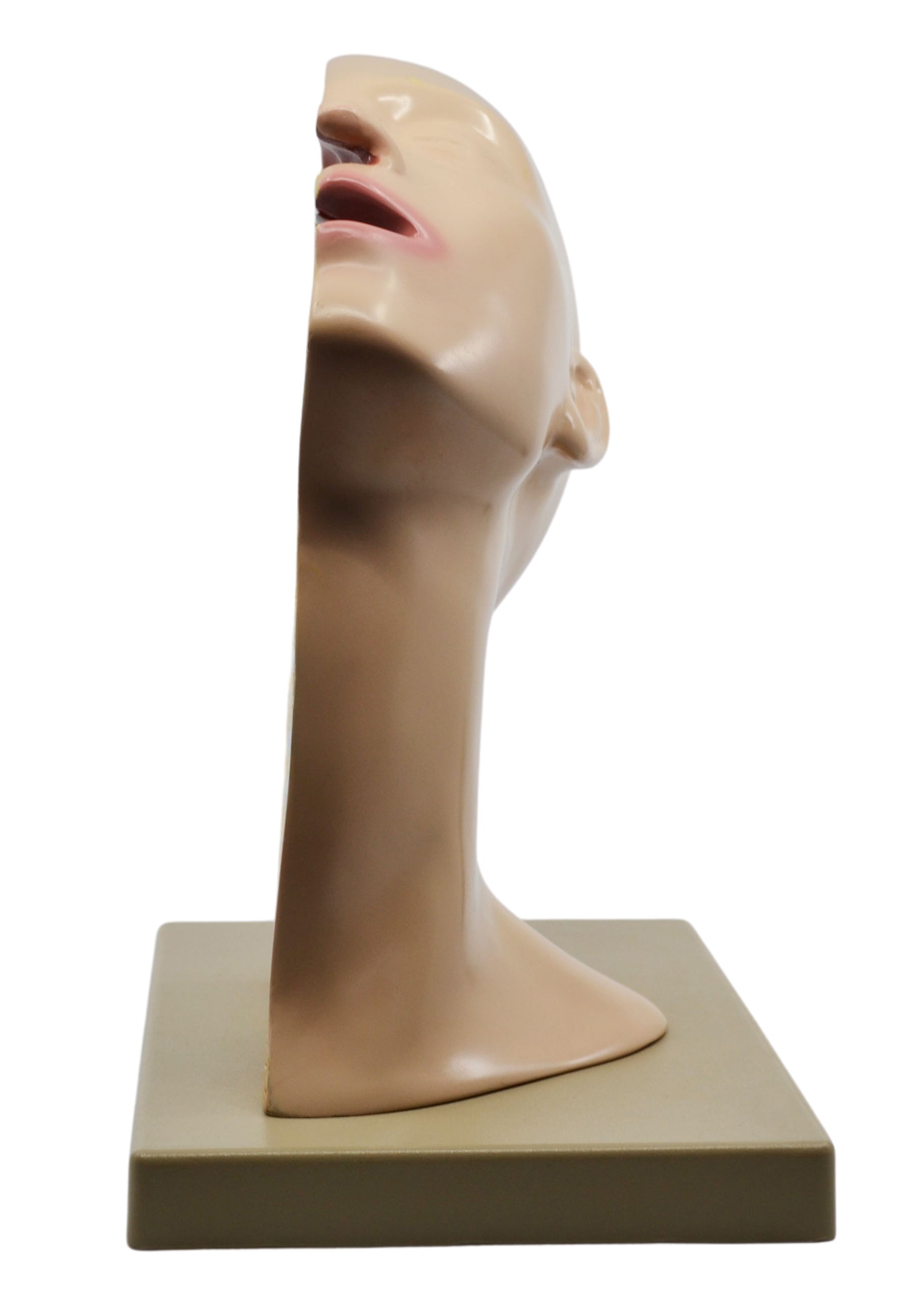 Nasal Swab Training Model