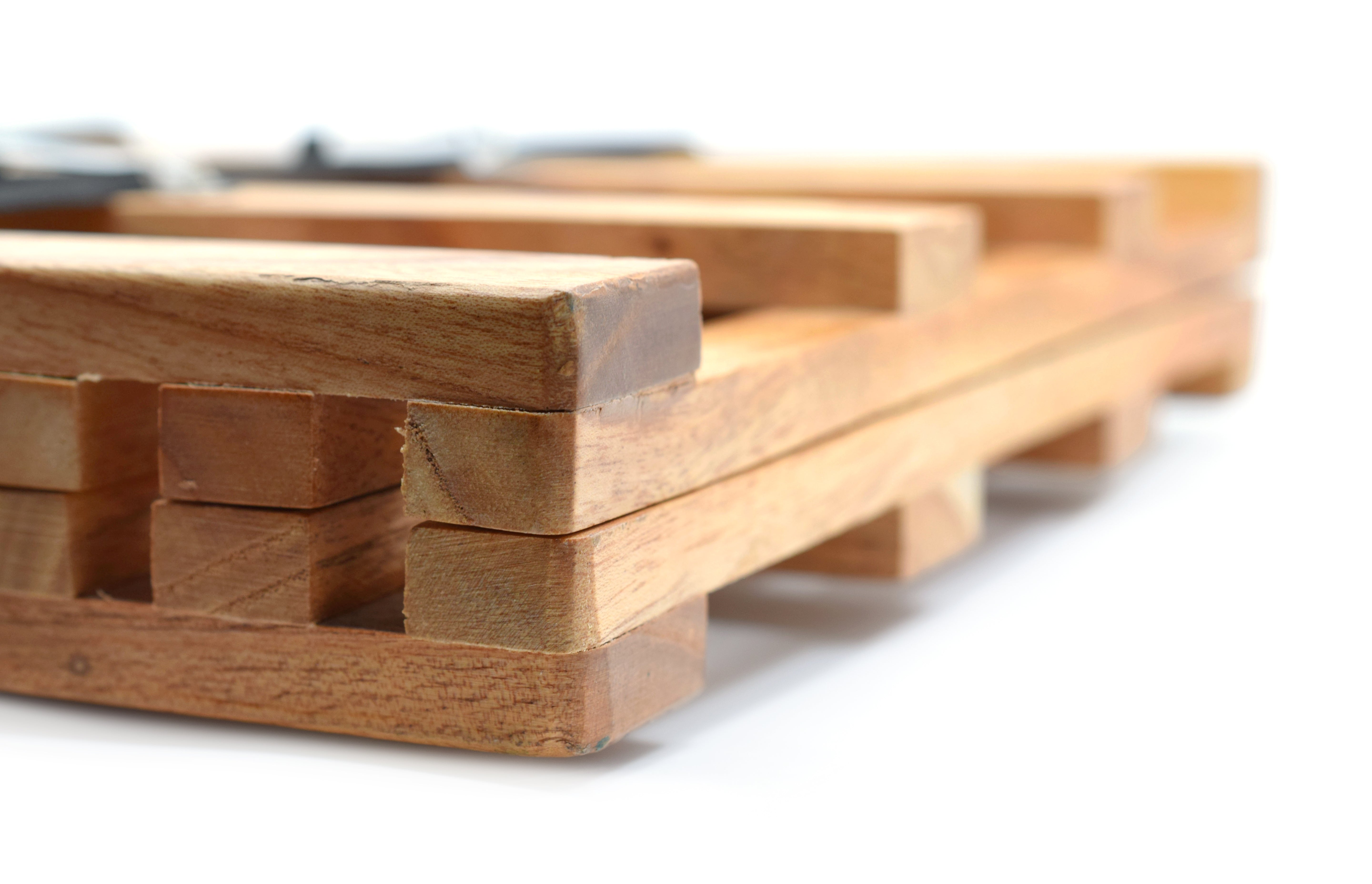 Hardwood Herbarium Press with Buckle Straps