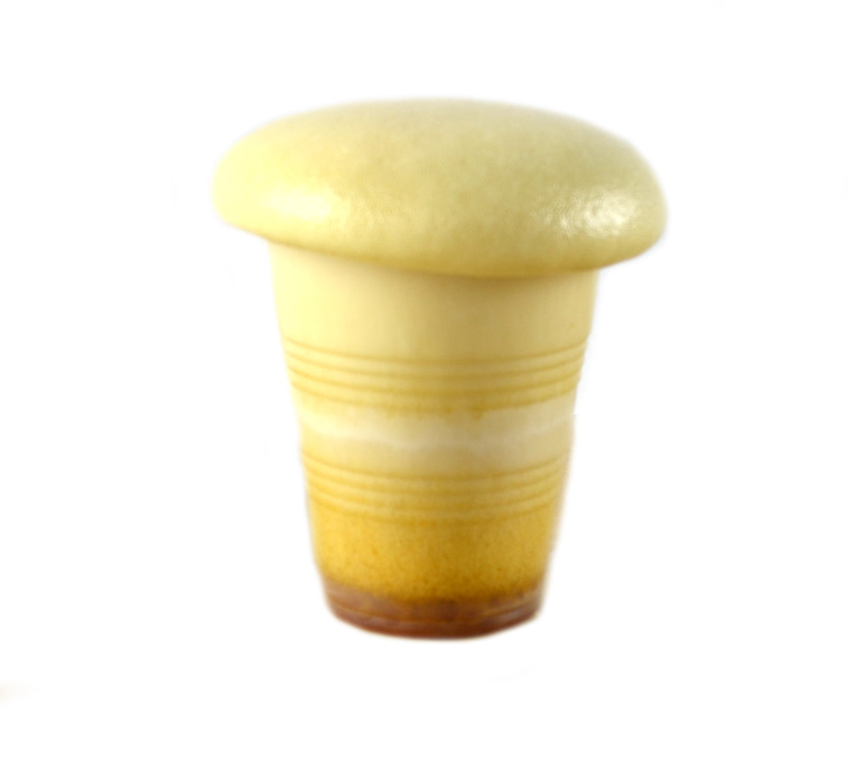 Polyurethane Foam Chemistry Demonstration Kit