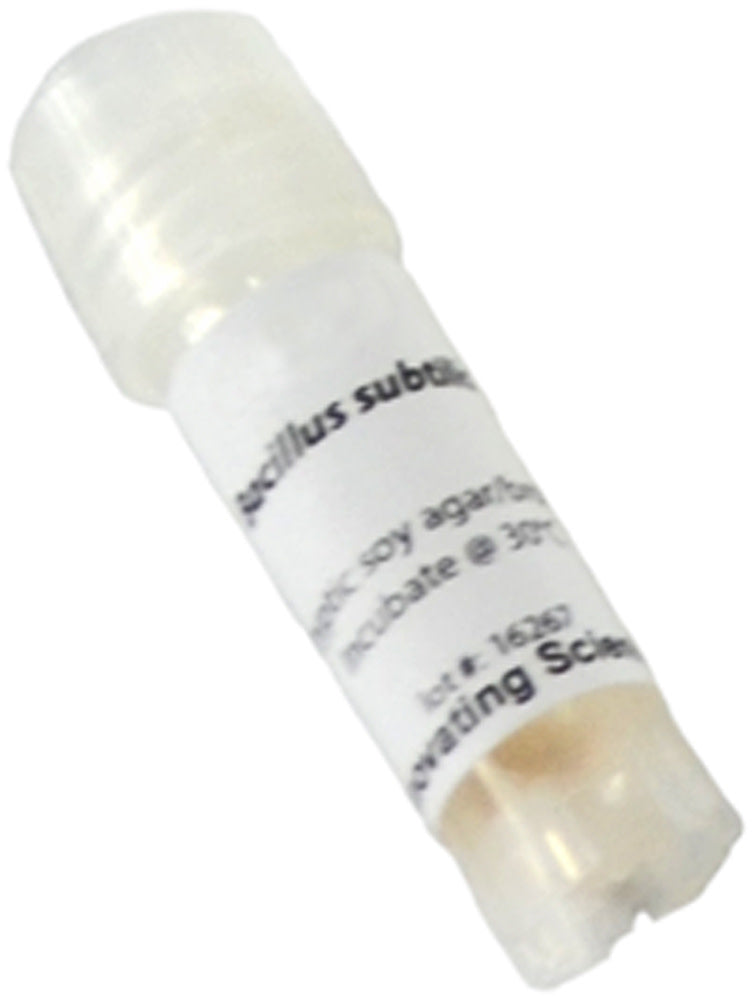 Bacillus Subtilis Freeze-Dried Culture, Lyophilized Pellet in Vial