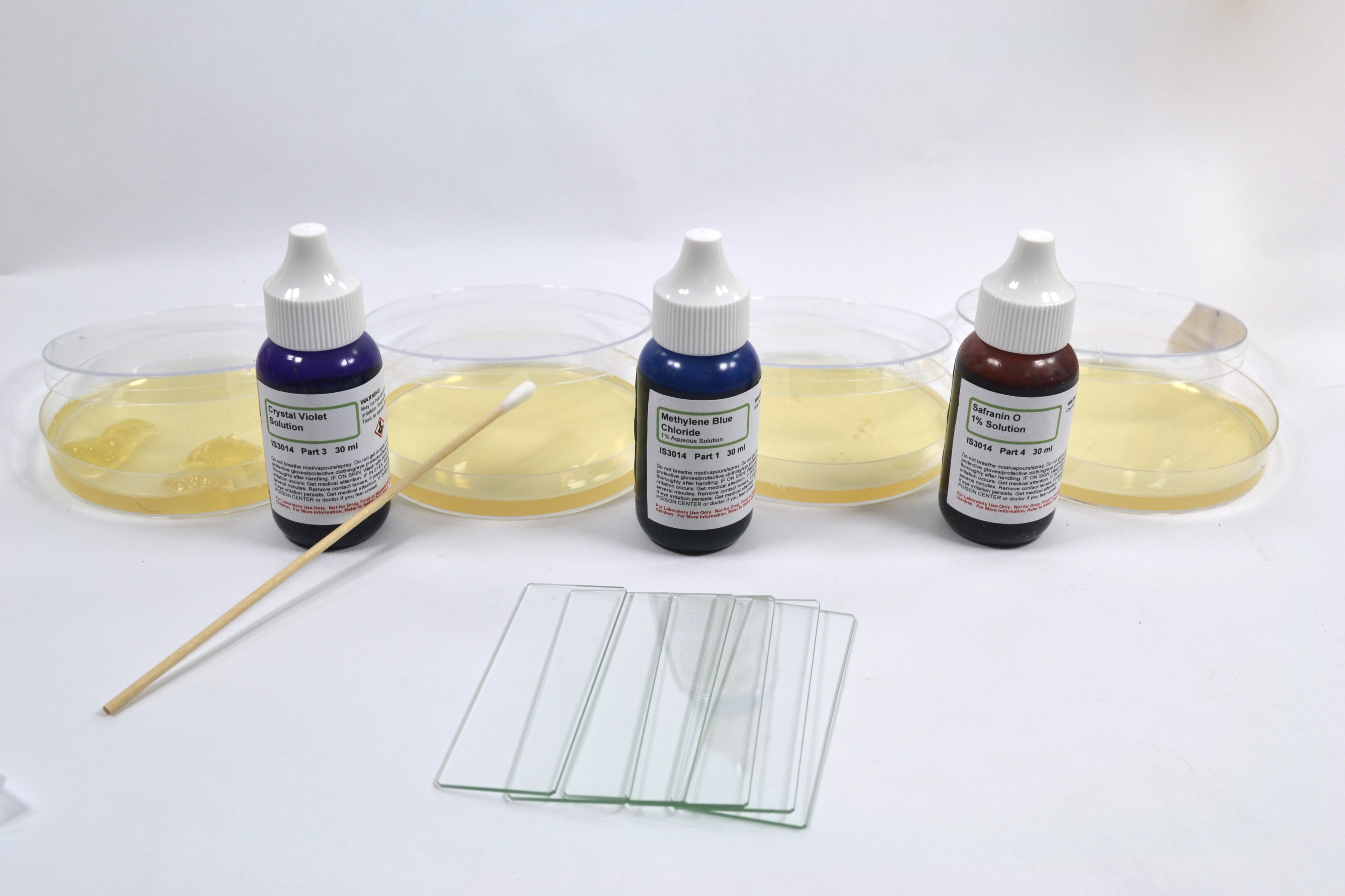 Introduction to Microbiology Bacterial Growth and Staining Small Group Learning Kit