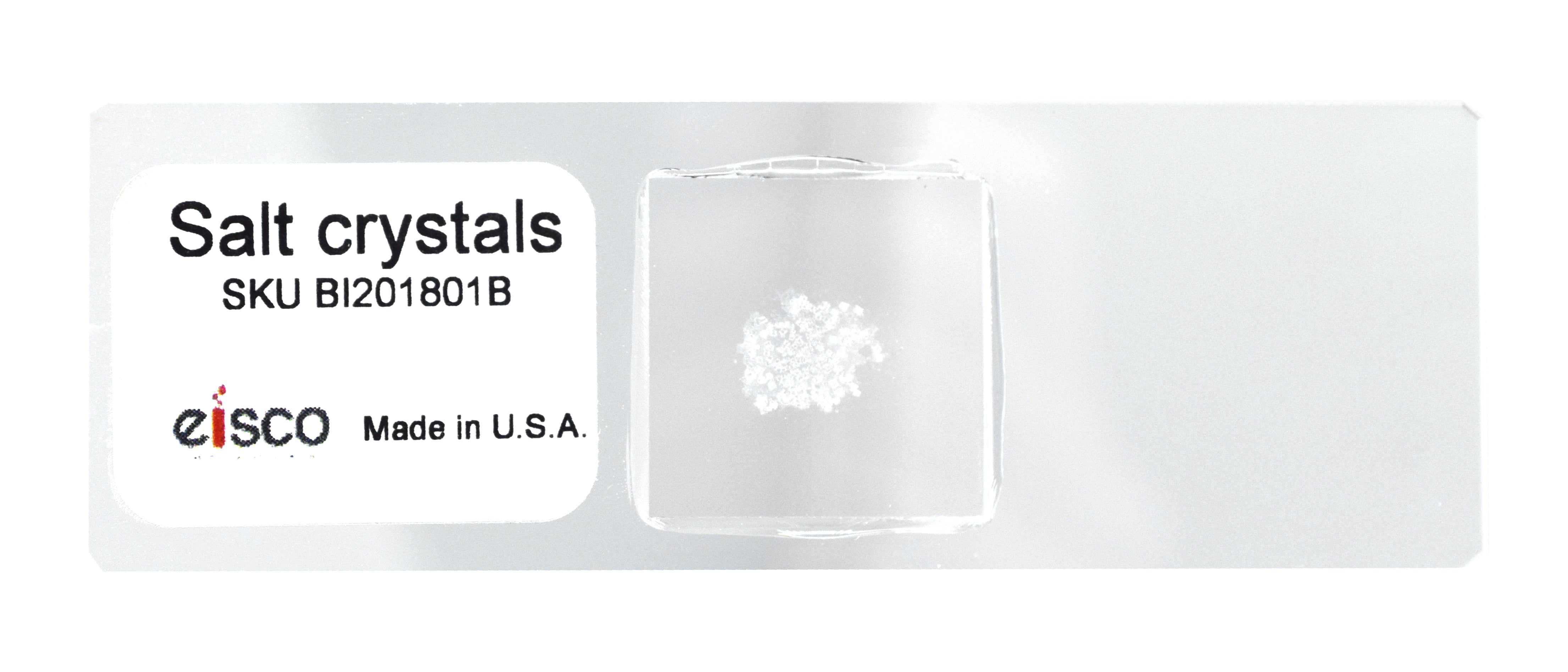Salt Crystals Prepared Microscope Slide for Introductory Microscopy