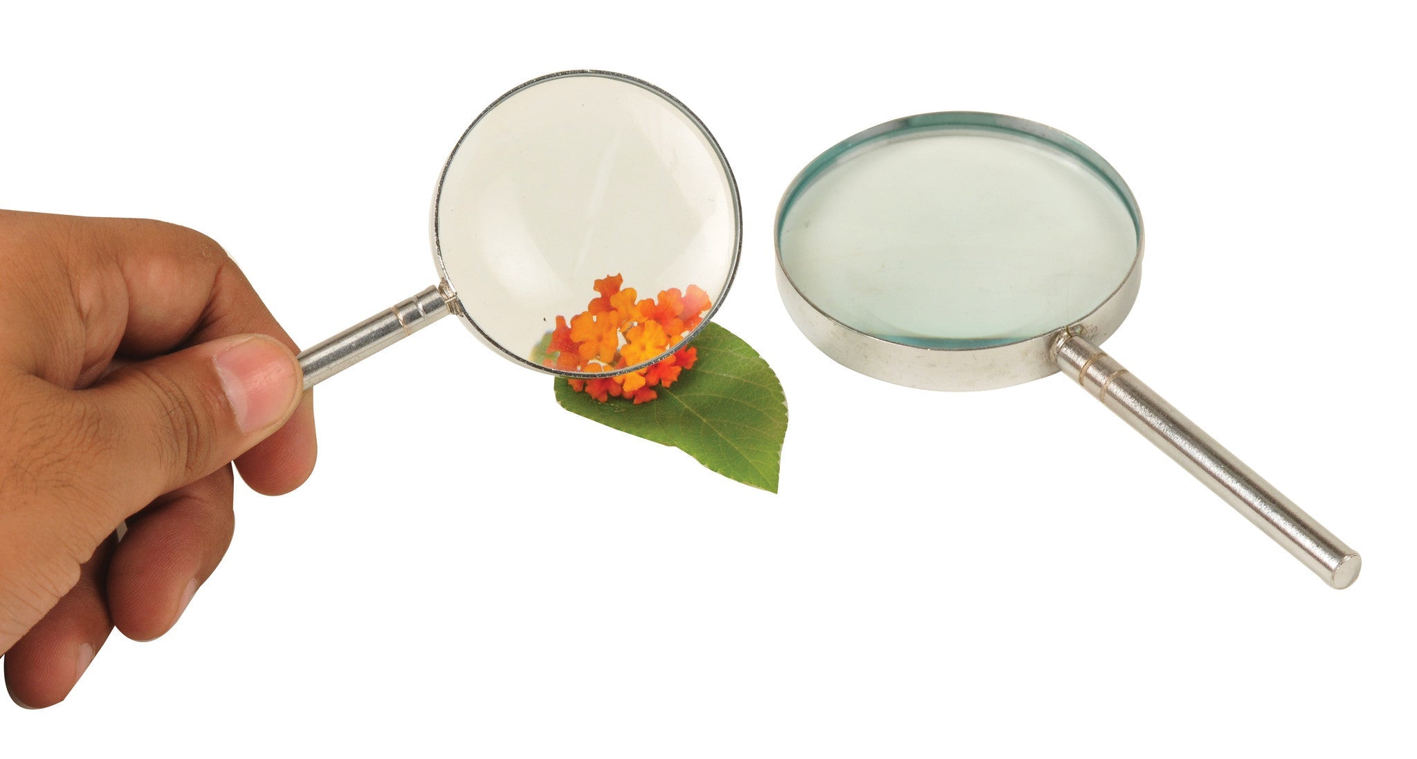 Reading Magnifier, 100mm, 20cm Focal Length