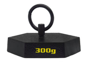 300g Hexagonal Cast Iron Mass with Lifting Ring