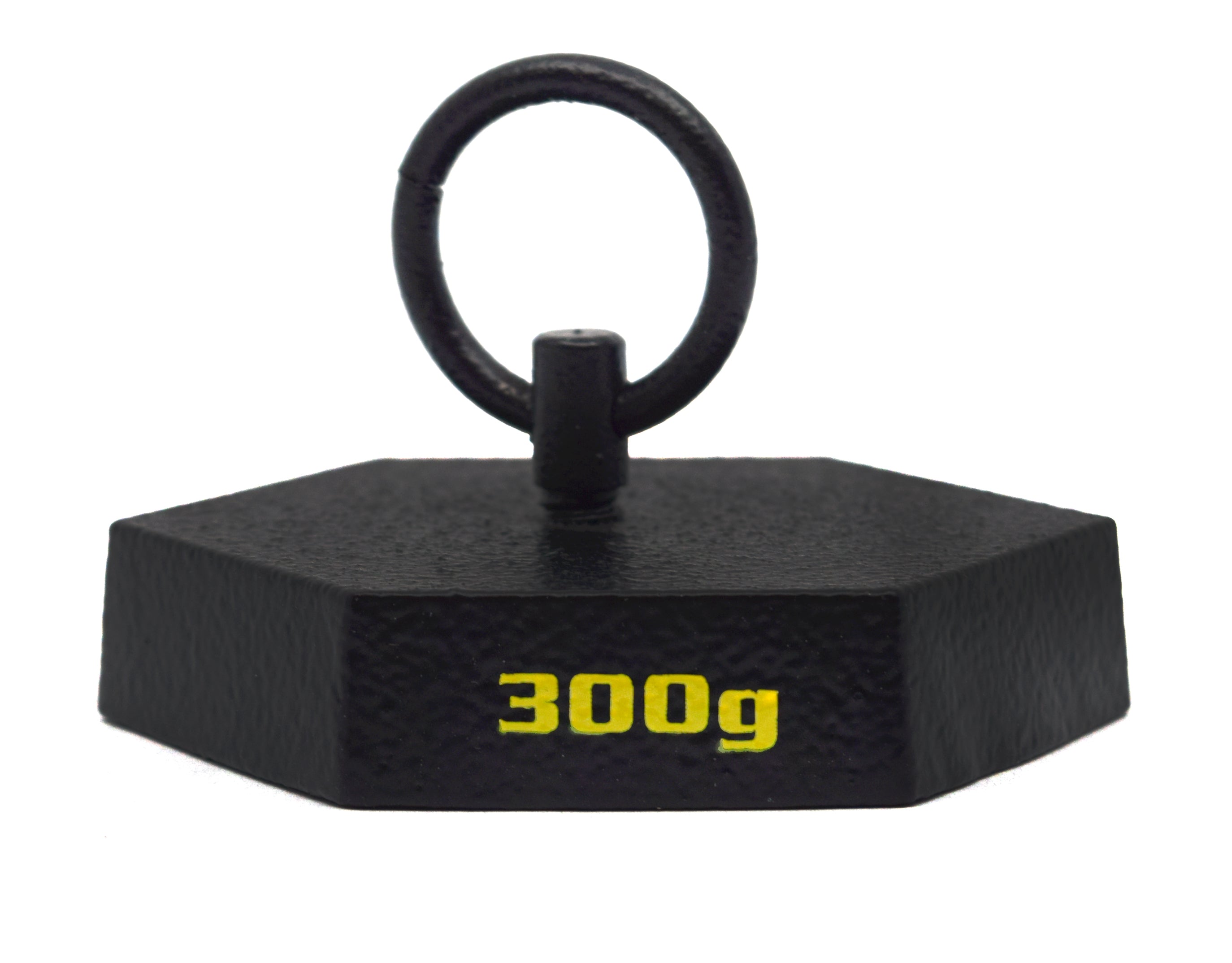 300g Hexagonal Cast Iron Mass with Lifting Ring