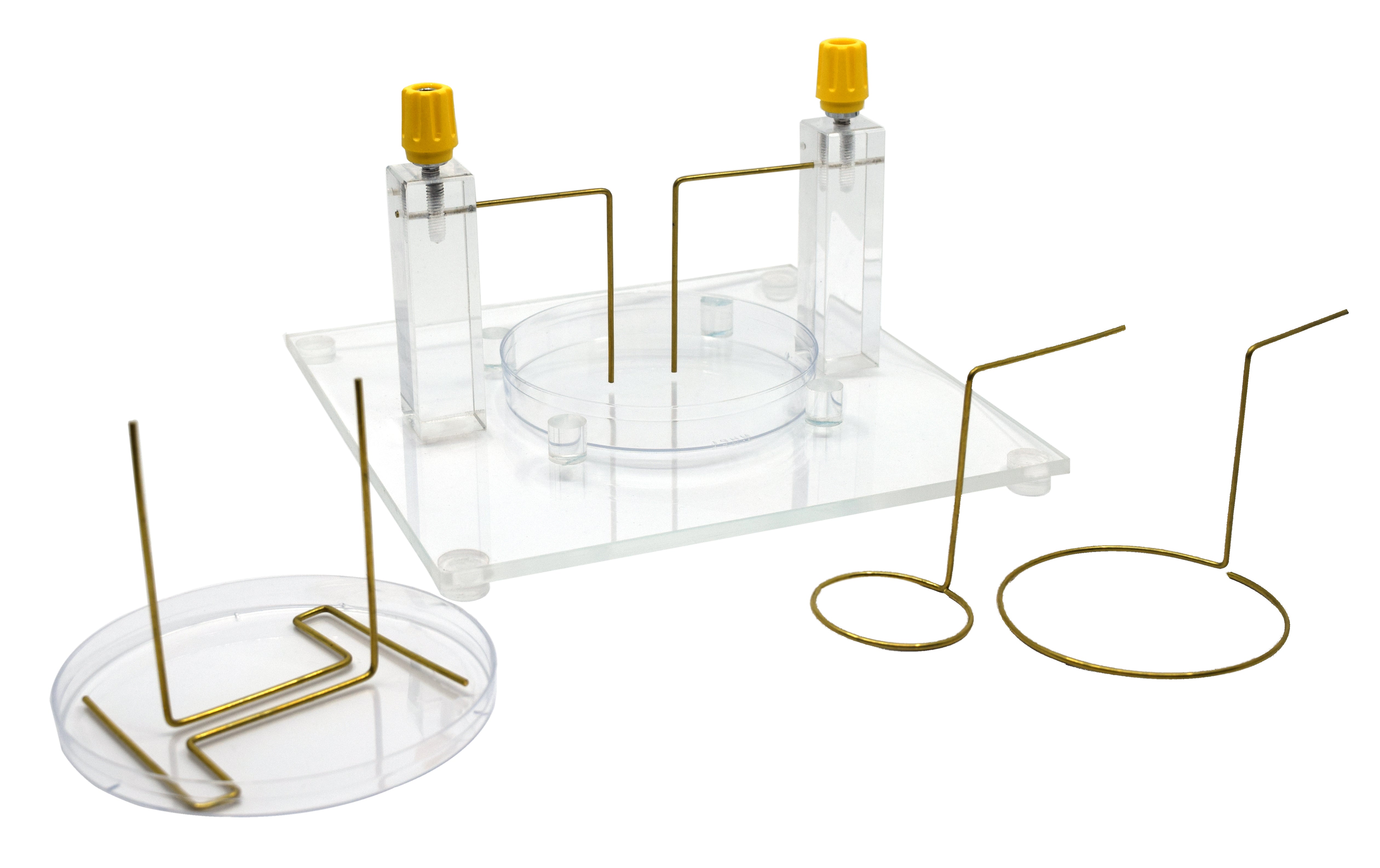 Electric Field Shape Demonstration Apparatus