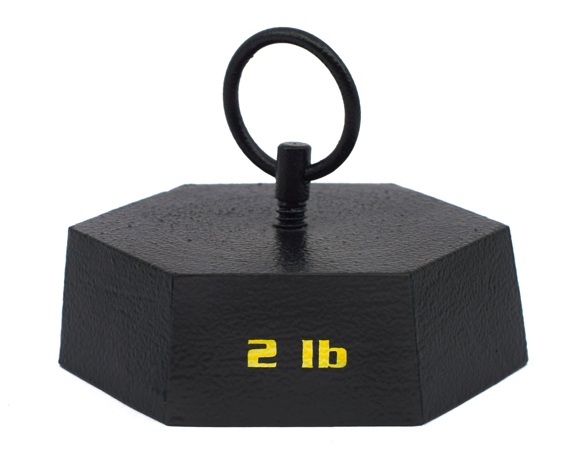 2lb Object 2lb Hexagonal Cast Iron Mass with Lifting Ring – The Lab Stockroom