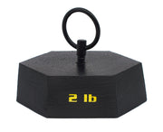 2lb Hexagonal Cast Iron Mass with Lifting Ring