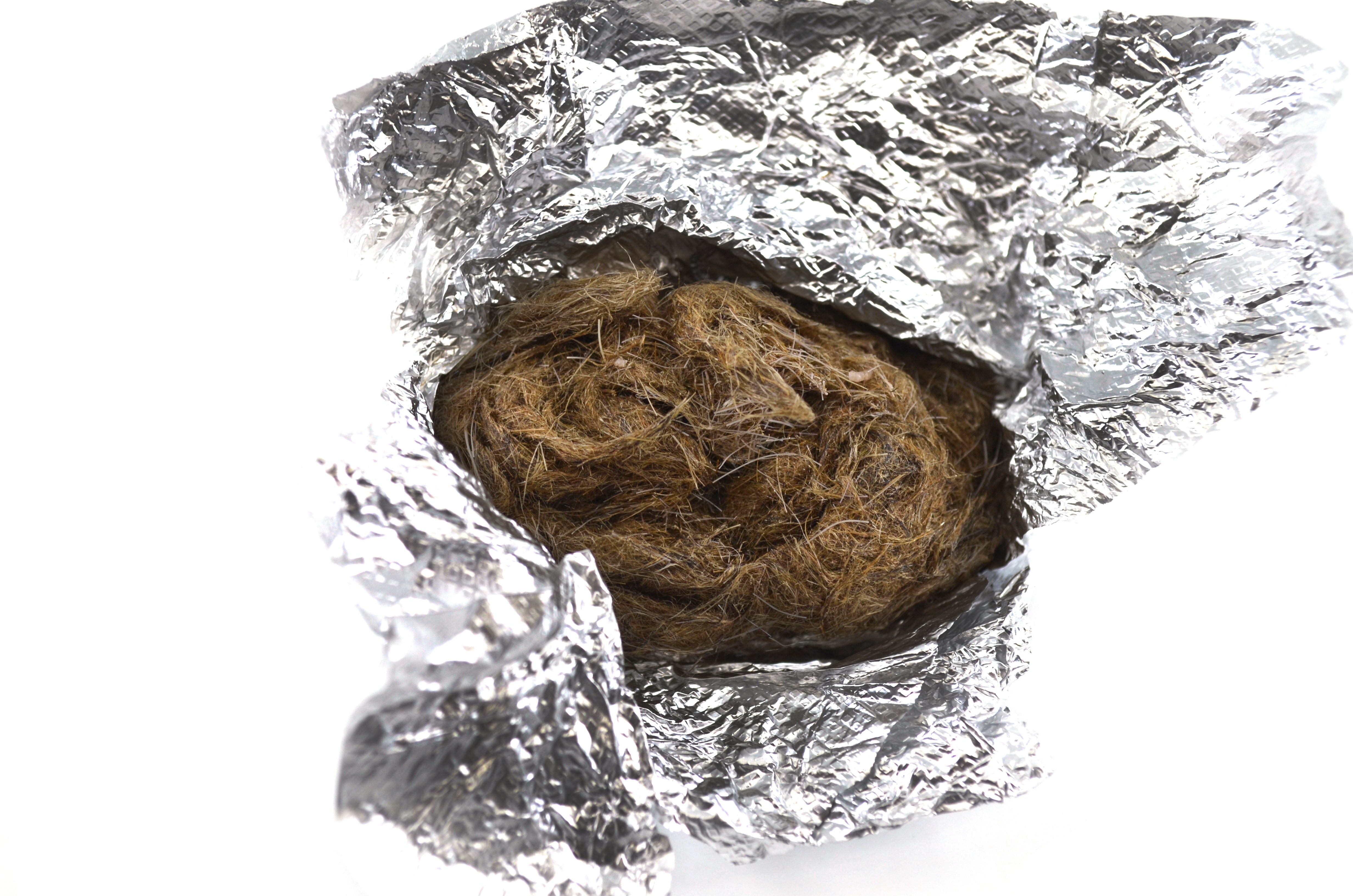 Simulated Owl Pellet with Mouse, 3 x 1.5 inch