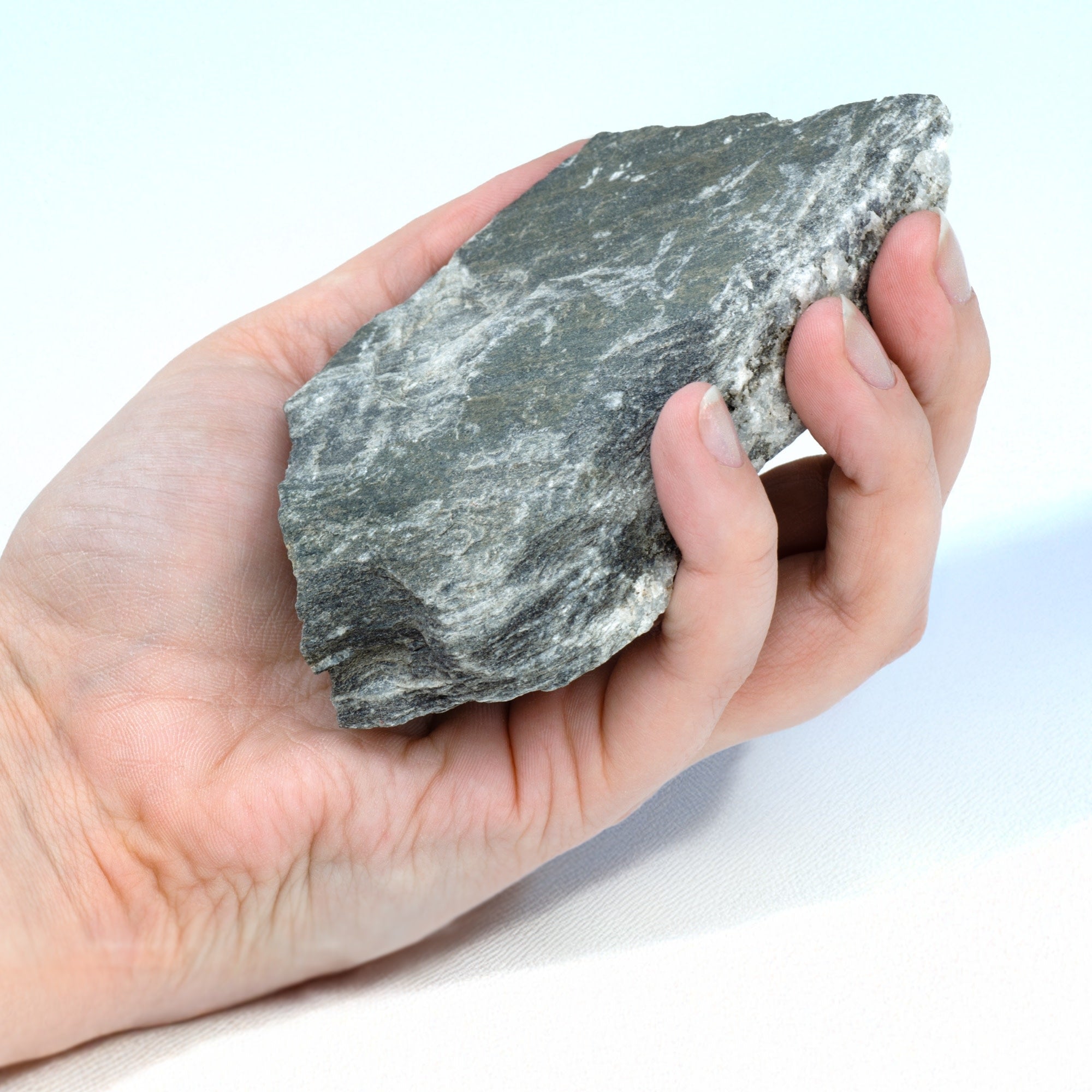 Raw Phyllite Metamorphic Rock Hand Sample, Labeled for Geology Classroom, Approx 3 inch