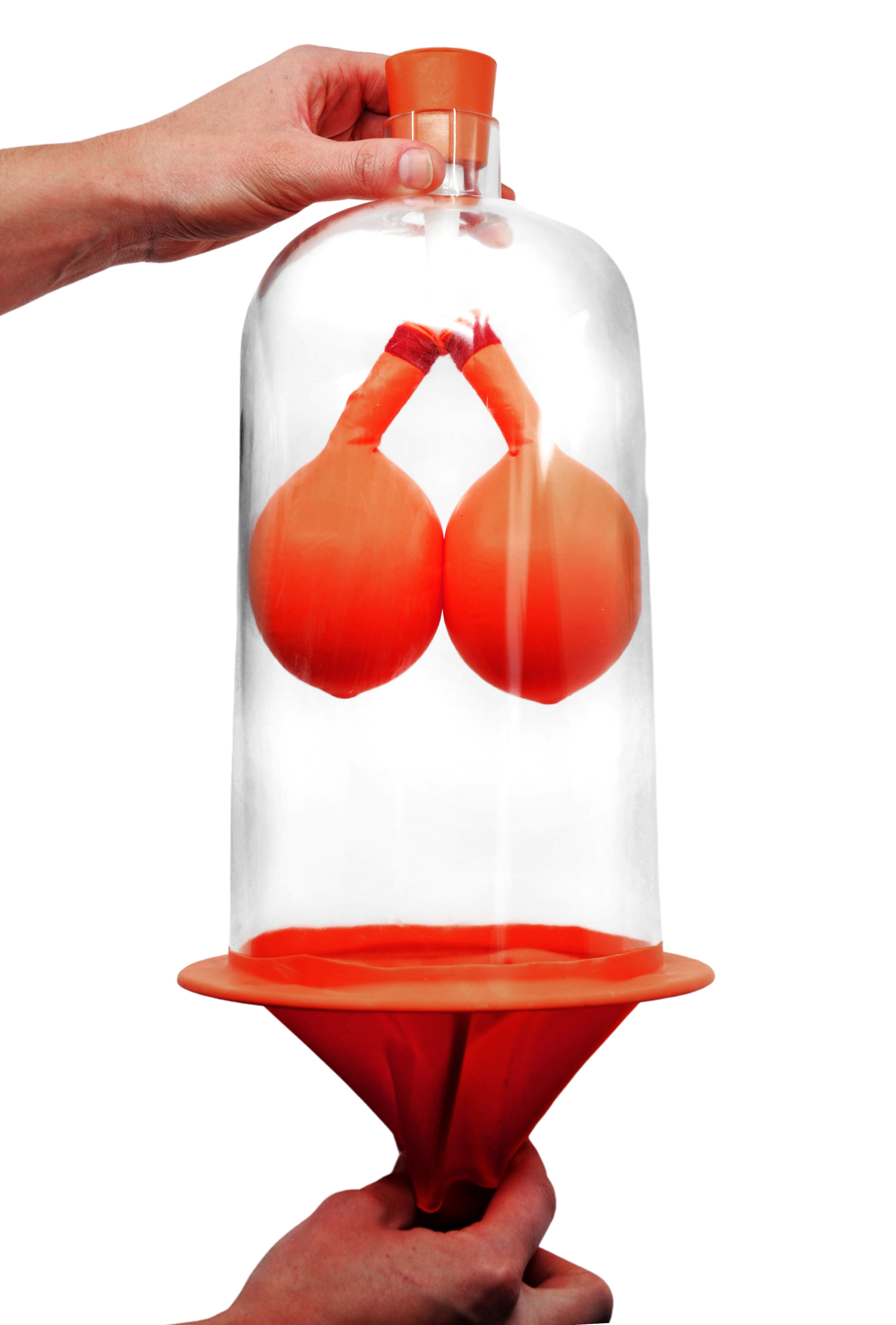 Lung Function Demonstration Model