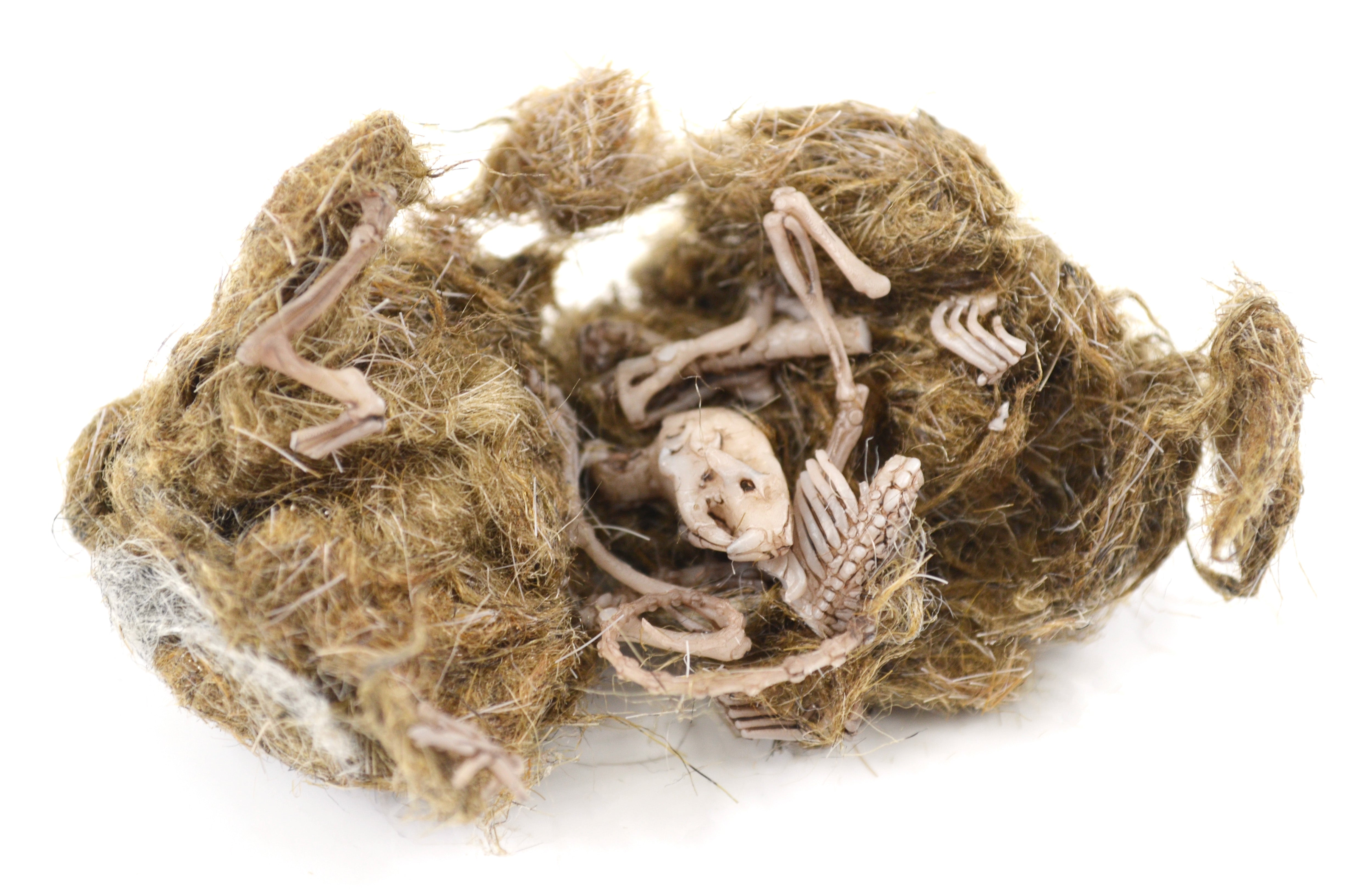 Simulated Owl Pellet with Mouse, 3 x 1.5 inch