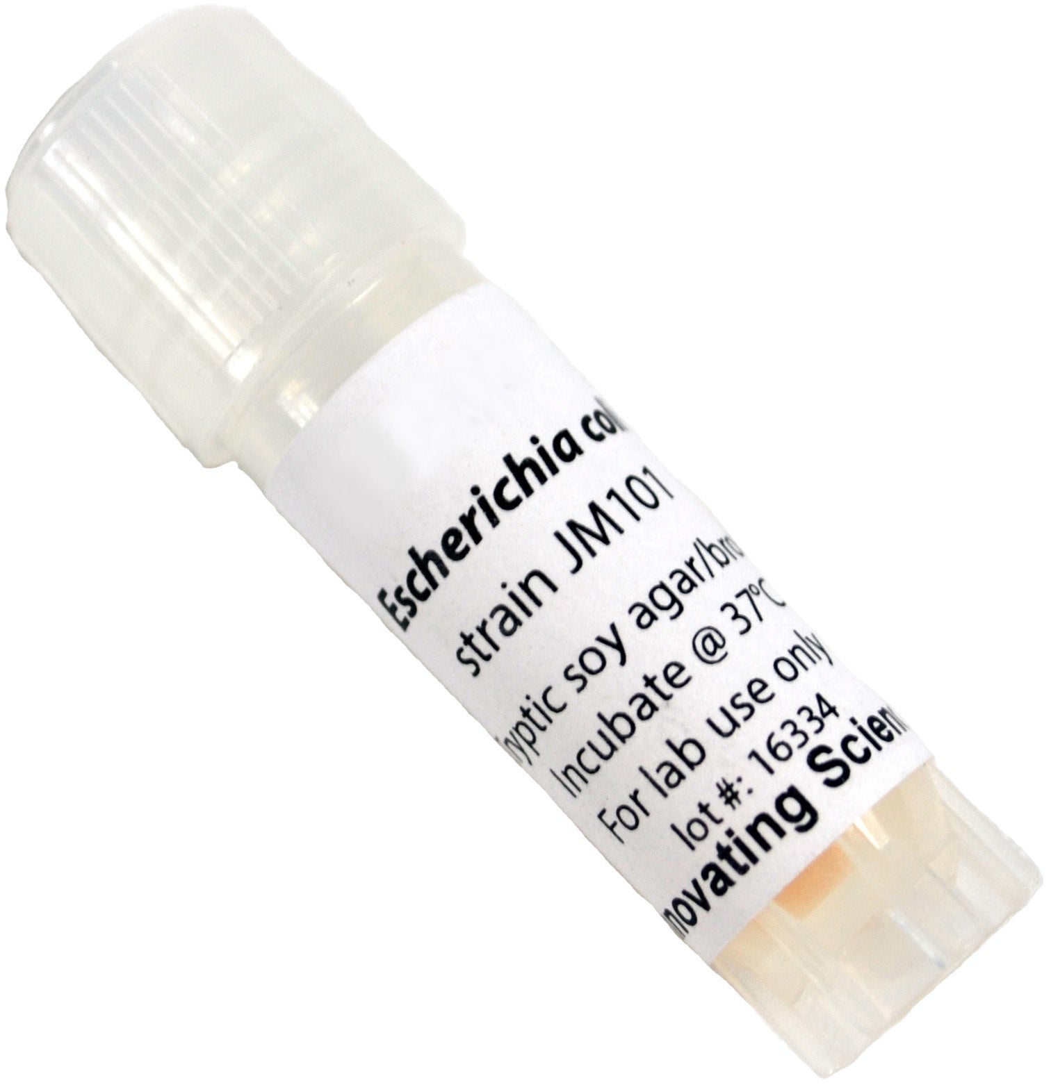 E. Coli JM101 Freeze-Dried Culture, Lyophilized Pellet in Vial