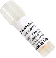 E. Coli JM101 Freeze-Dried Culture, Lyophilized Pellet in Vial