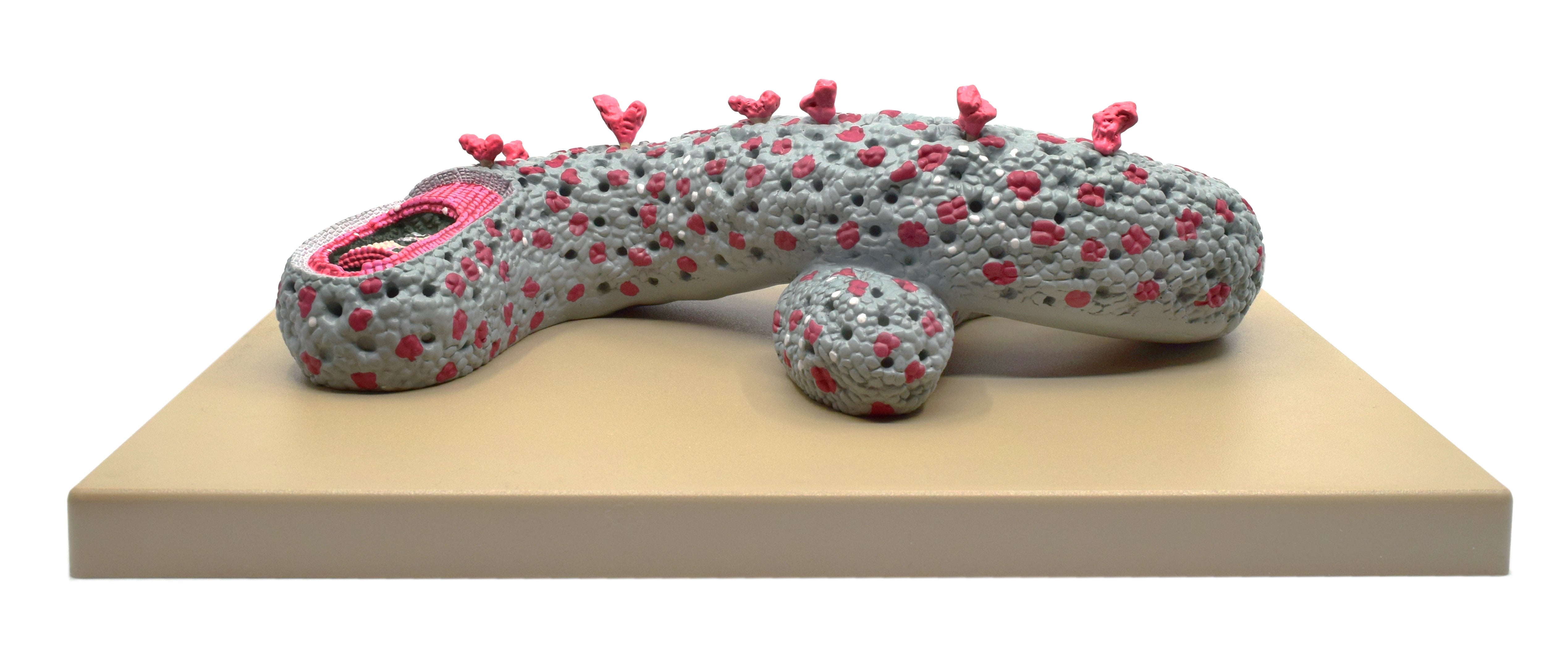 Hand-Painted 3D Ebola Virus Sectional Anatomical Model on Base, 100000x Magnification, 16 x 12 inch