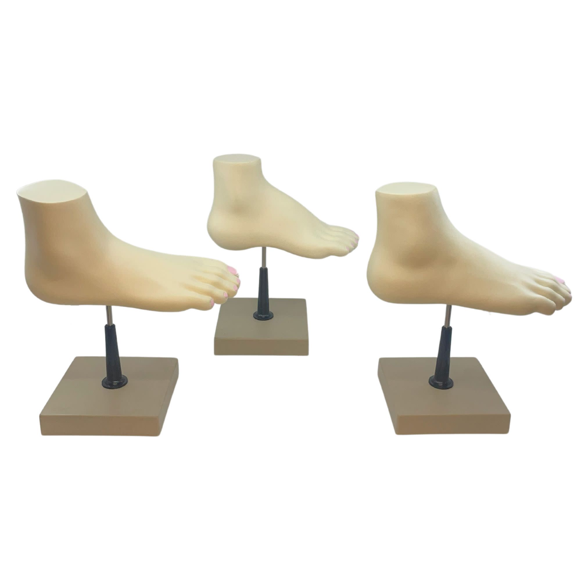 Human Foot Bow Model with 3 Feet, 18 Features