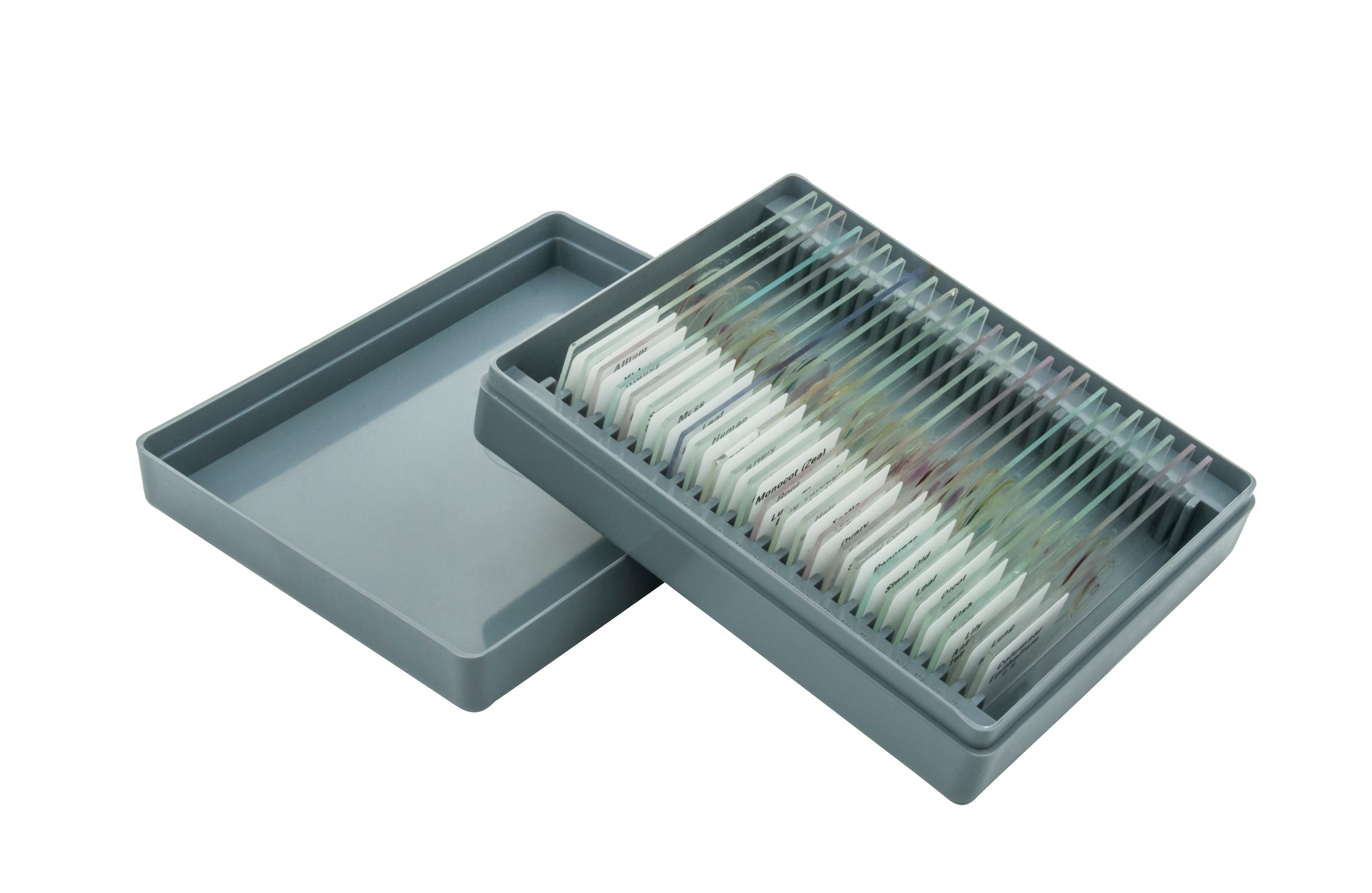 Basic Microscope Slide Set, 25-Piece