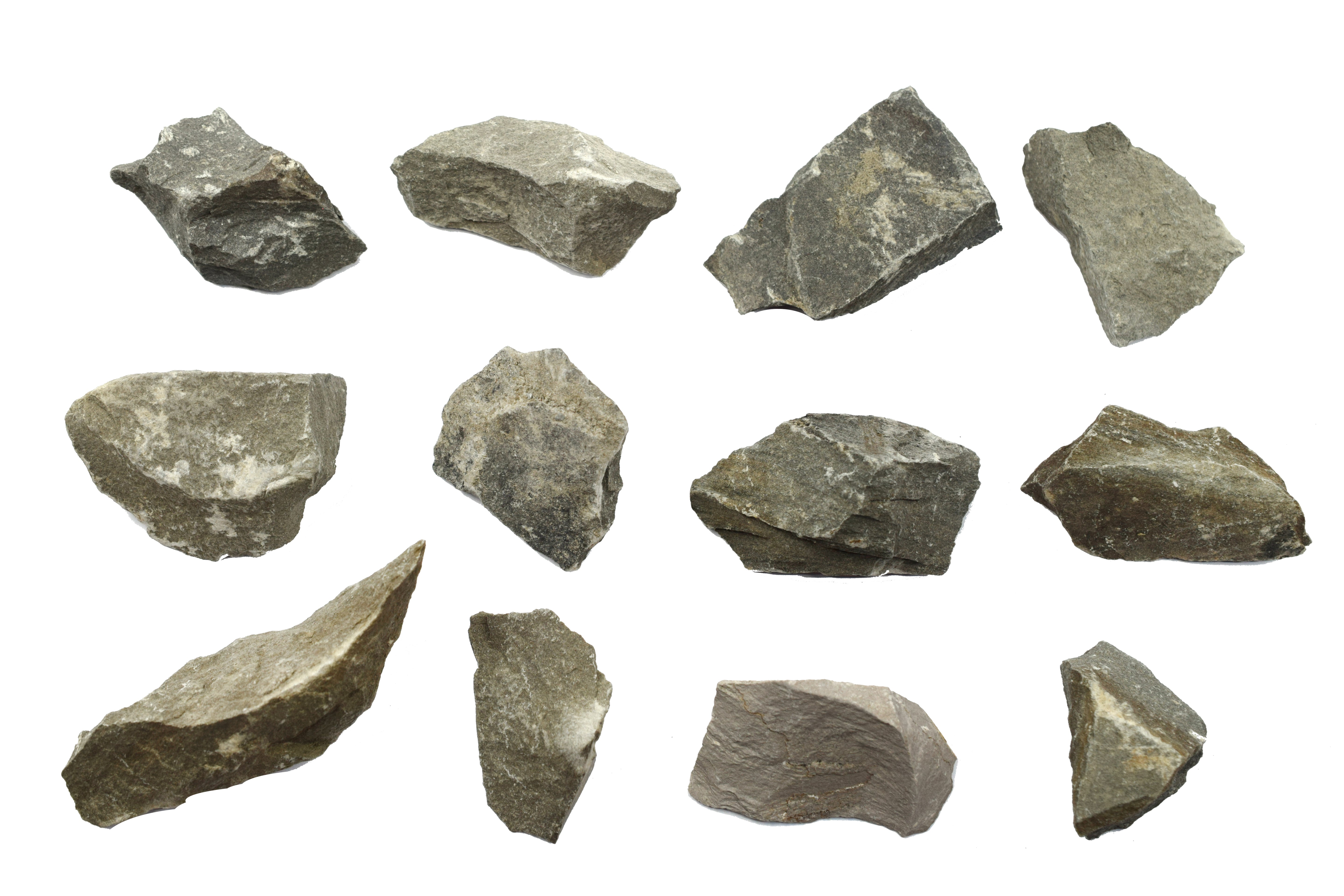 Argillaceous Shale Specimen