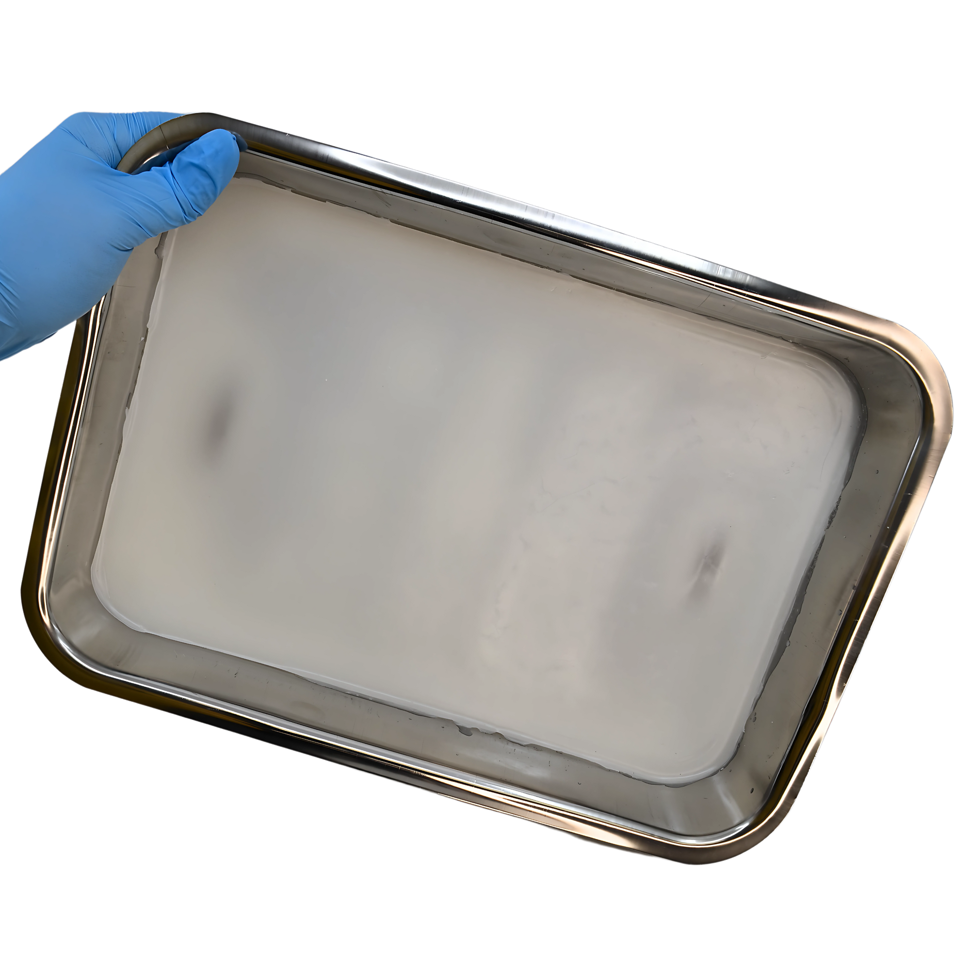 12 x 9 x 2" Stainless Steel Dissection Tray with Wax