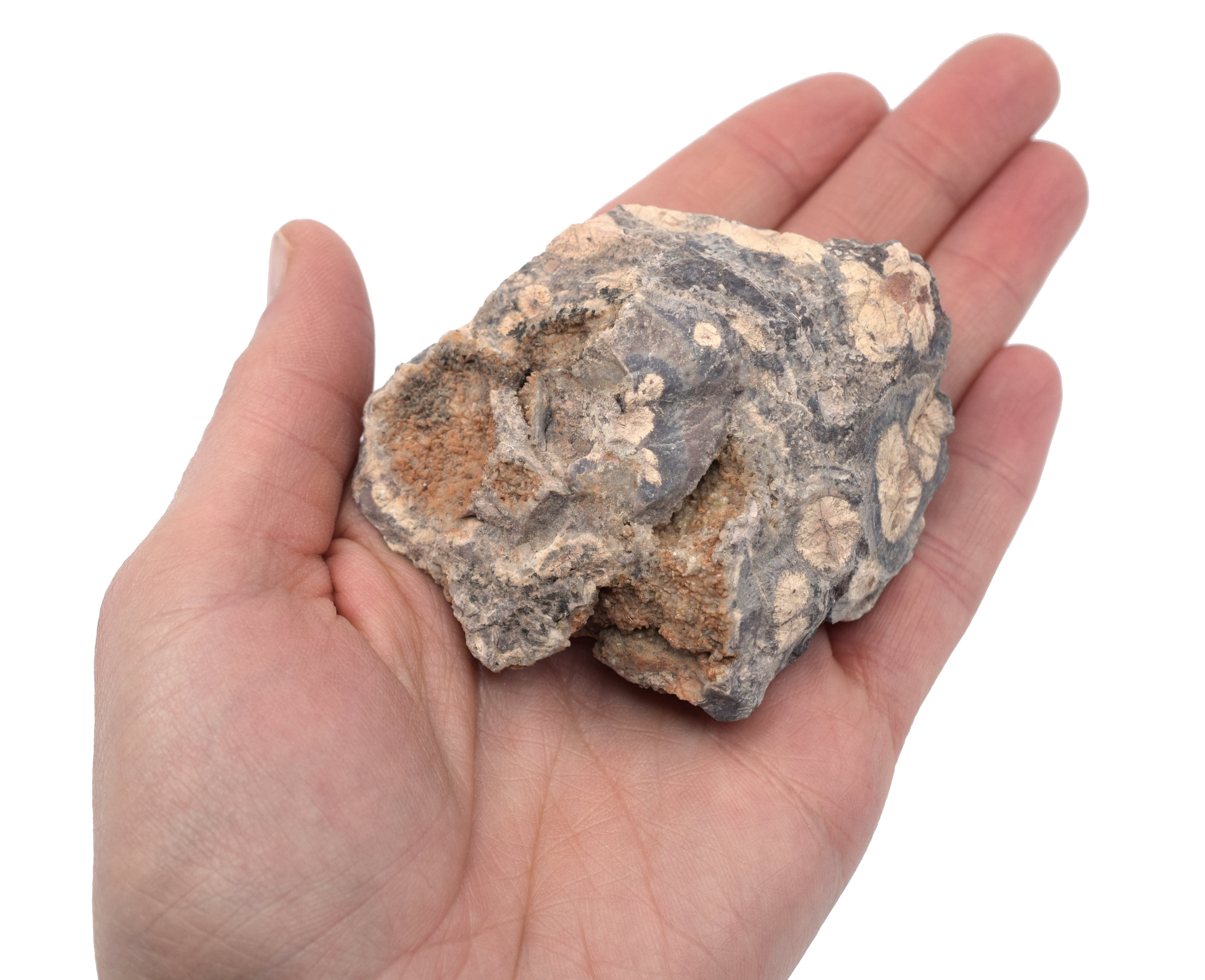 Raw Rhyolite Igneous Rock Hand Sample, Approx 3 inch
