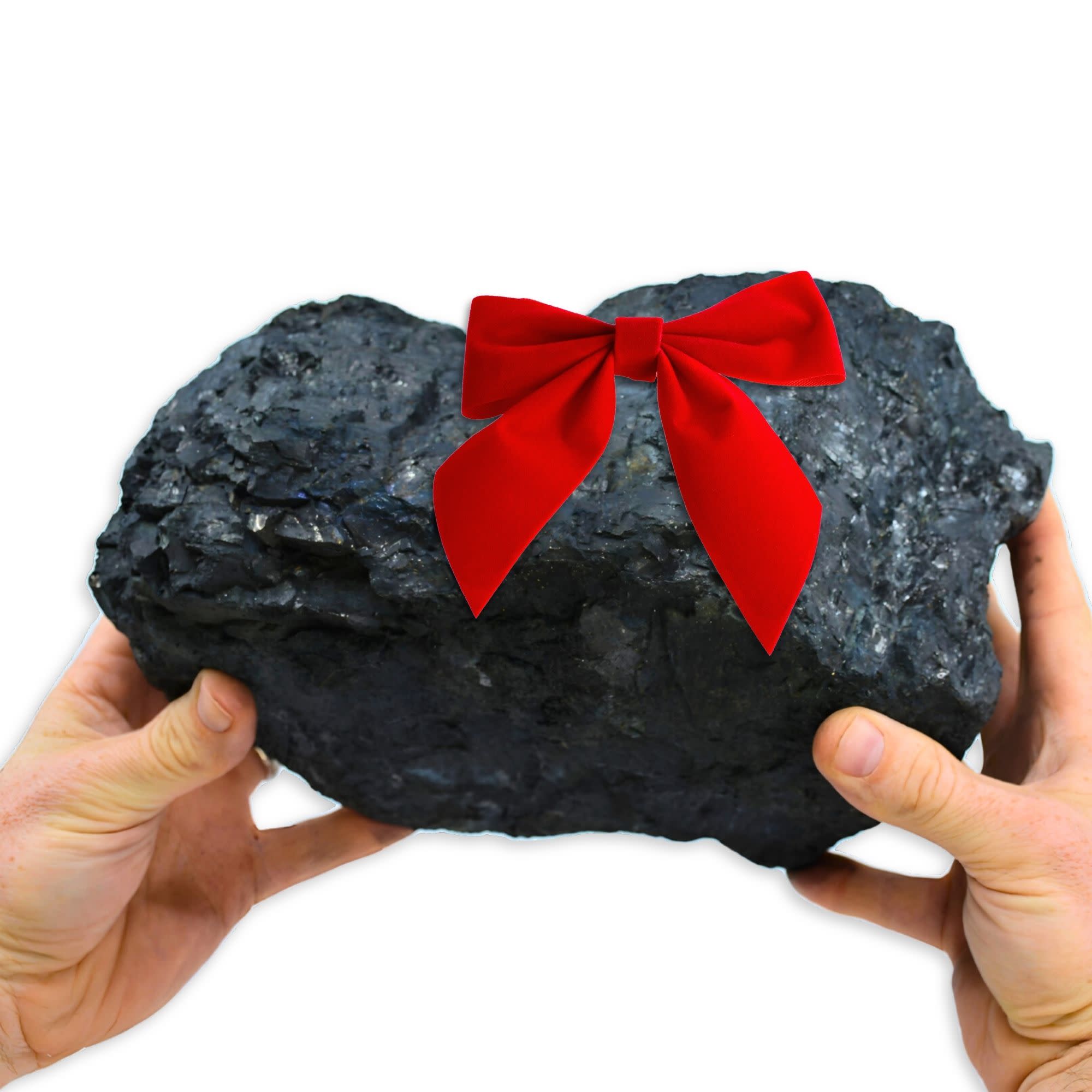 8lb Huge Lump of Coal Novelty Gift