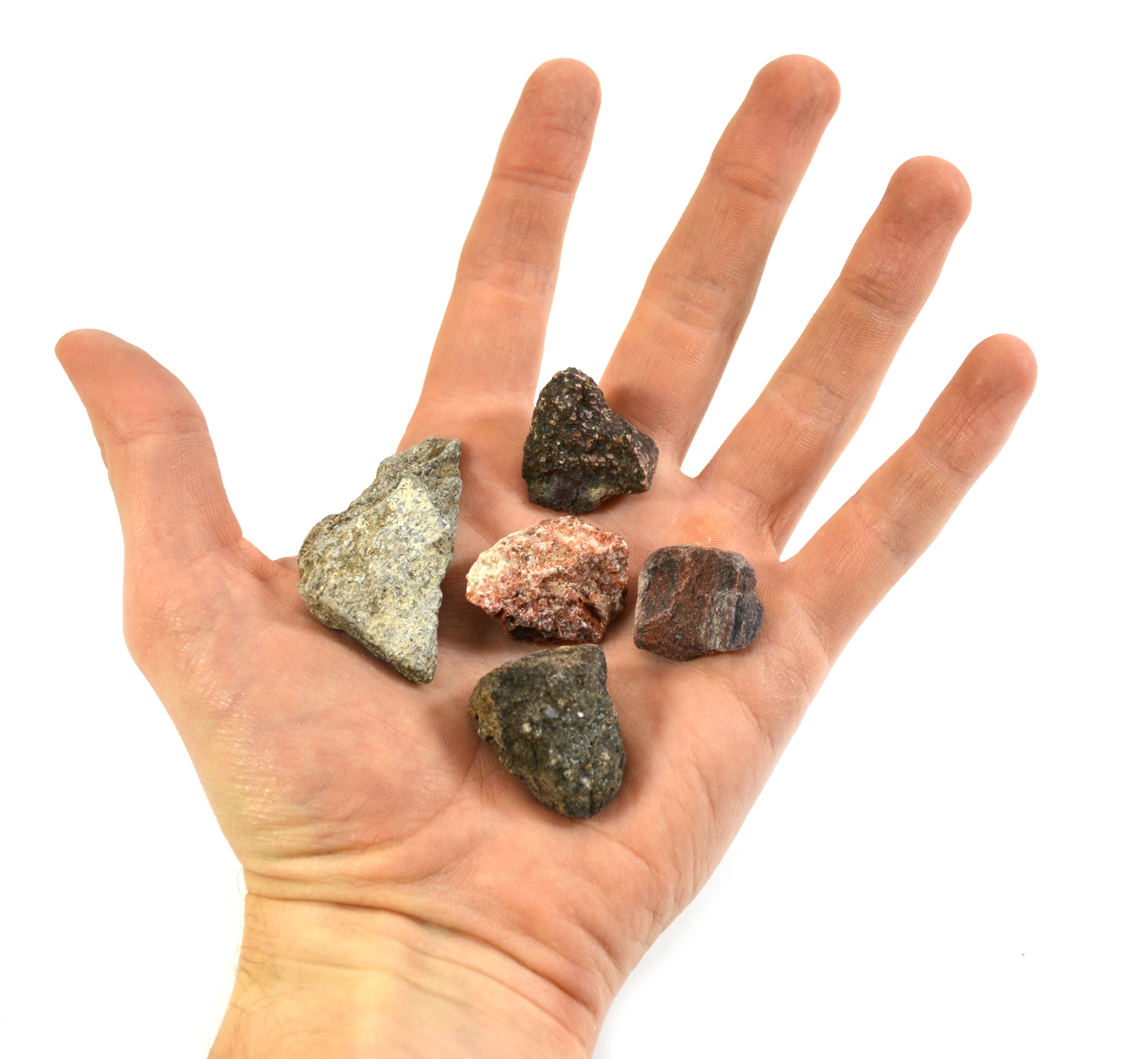 10-Pack Real Dinosaur Bone Piece Fossils, Approx 1 inch
