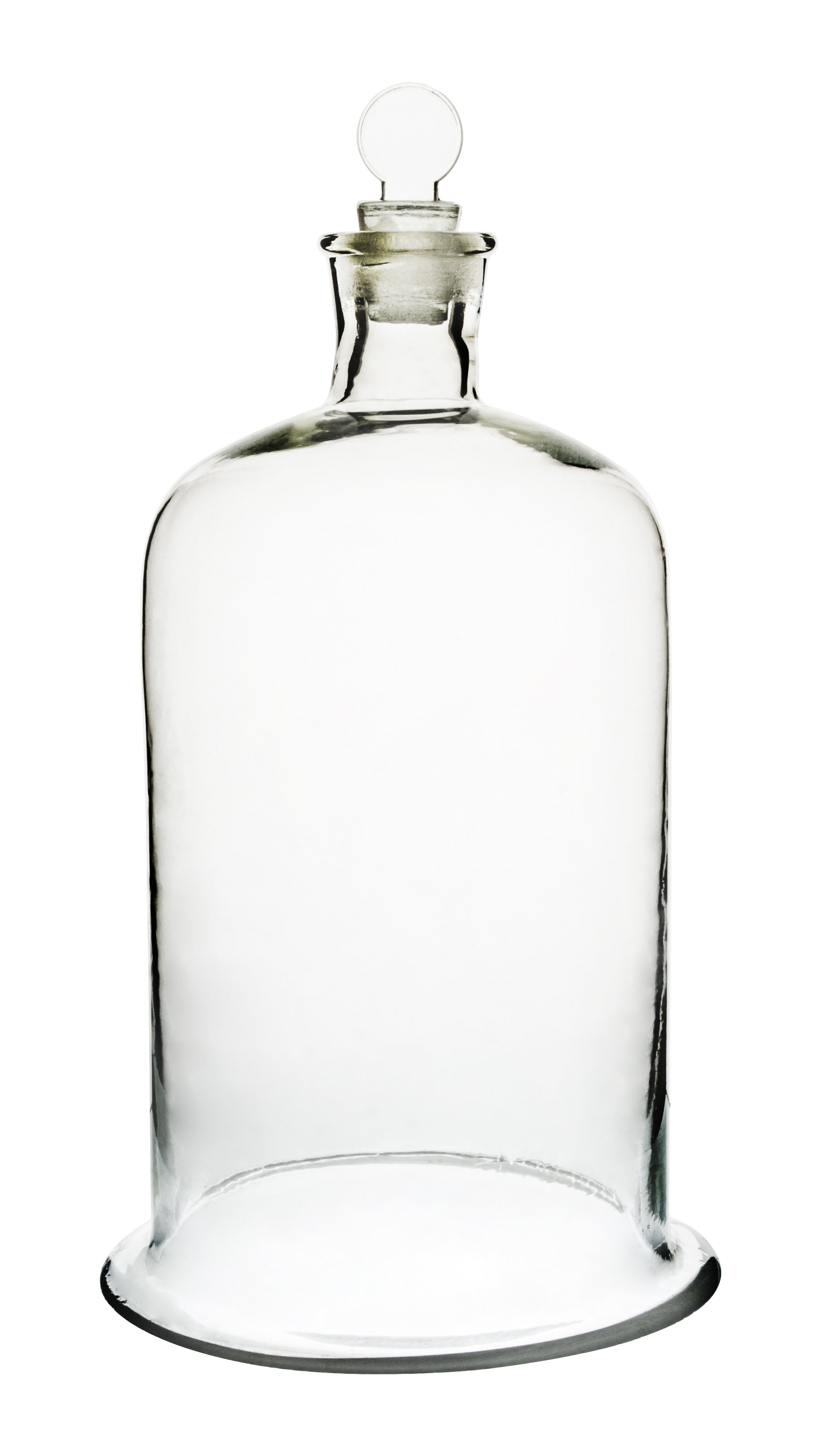Borosilicate Glass Bell Jar, 22.5 x 15cm
