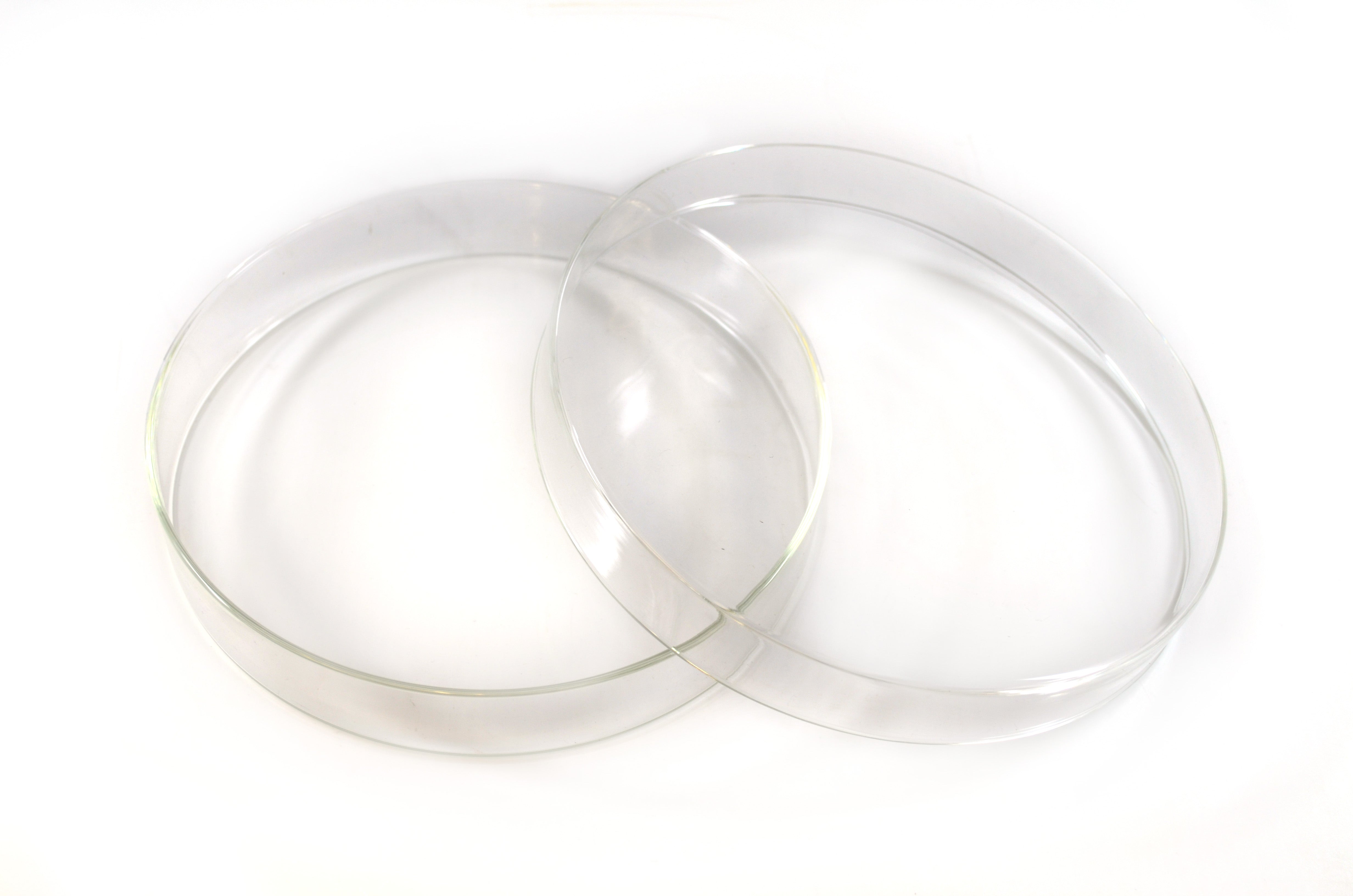 Borosilicate Glass Petri Dish with Beaded Edges