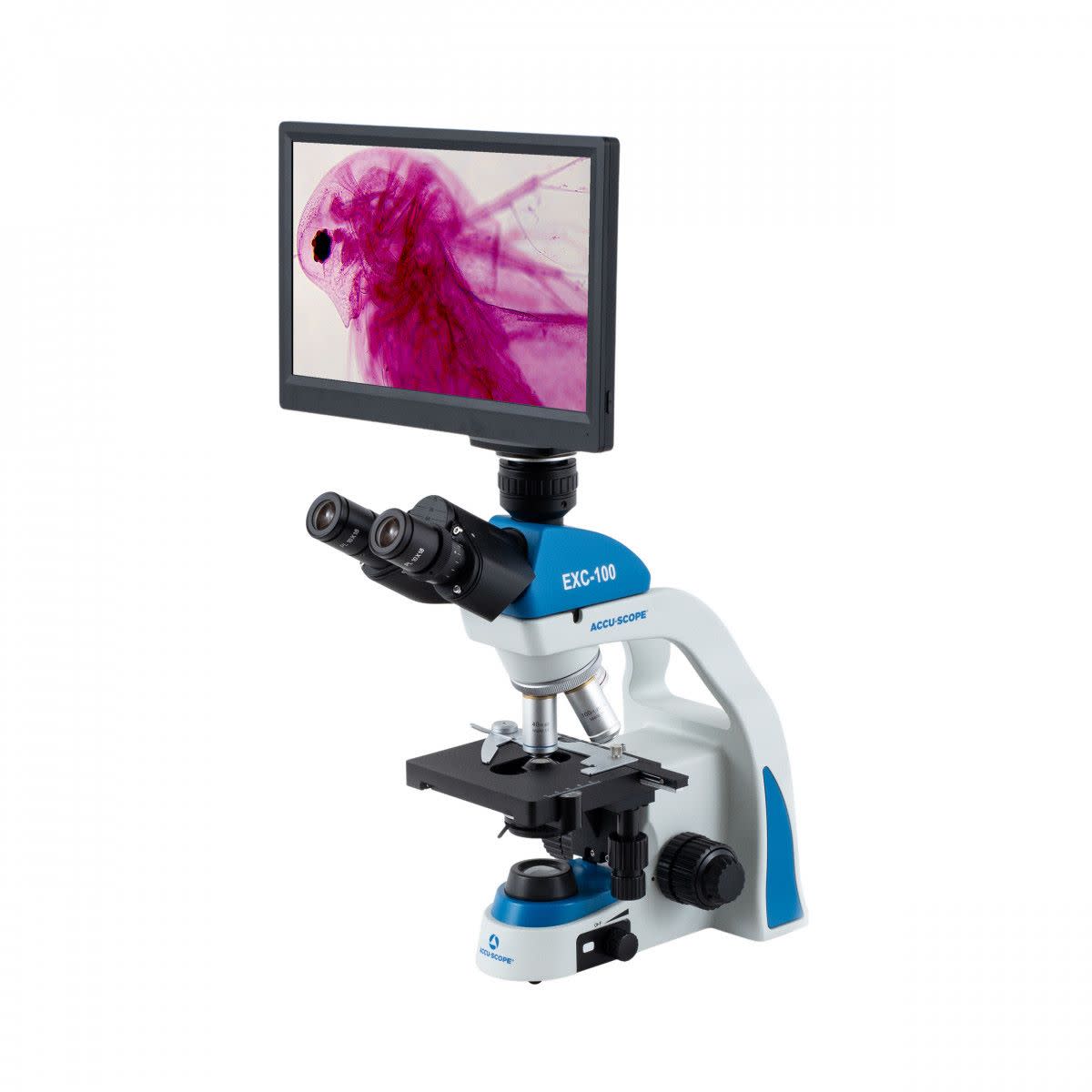 Accu-Scope Digital Compound Microscope with HD Camera and 11.6" LCD, EXC-103-HDS, 40-1000X
